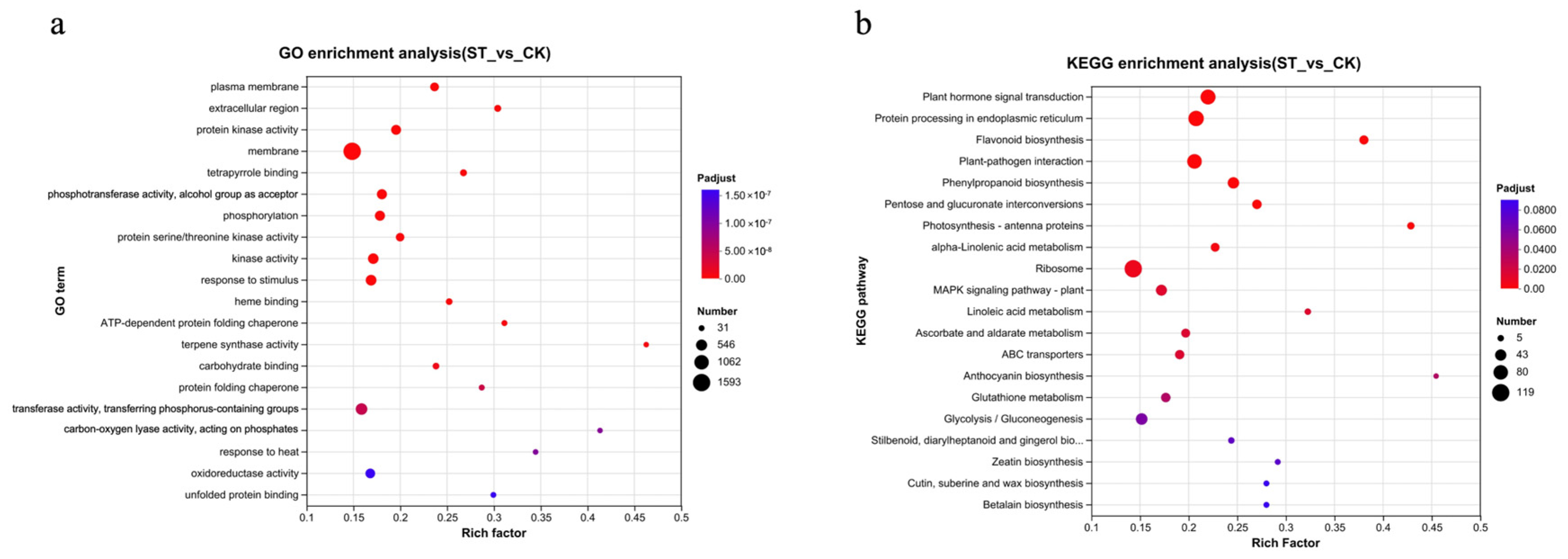Antioxidants 15 00033 g003 Antioxidants 15 00033 g003