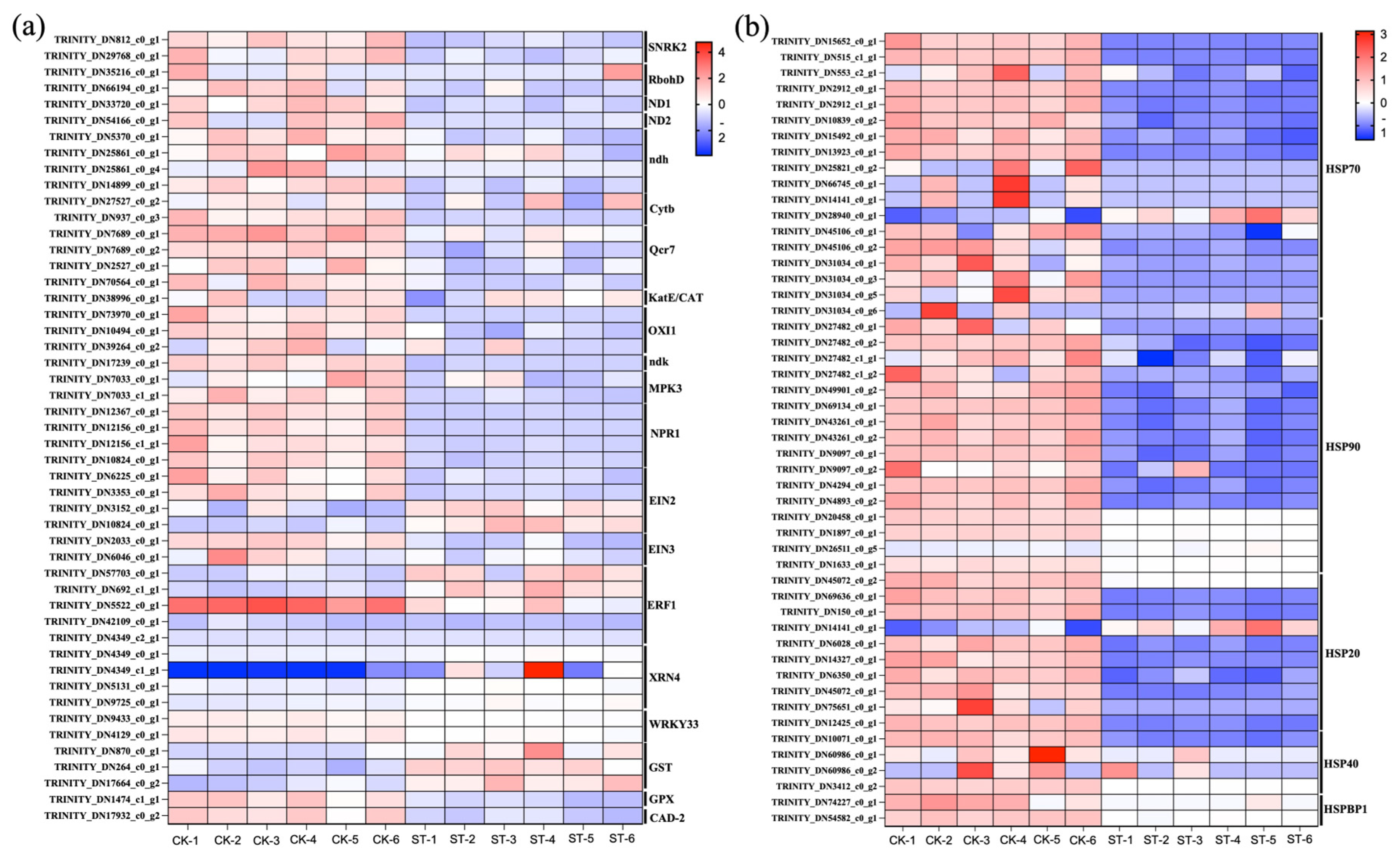 Antioxidants 15 00033 g004 Antioxidants 15 00033 g004