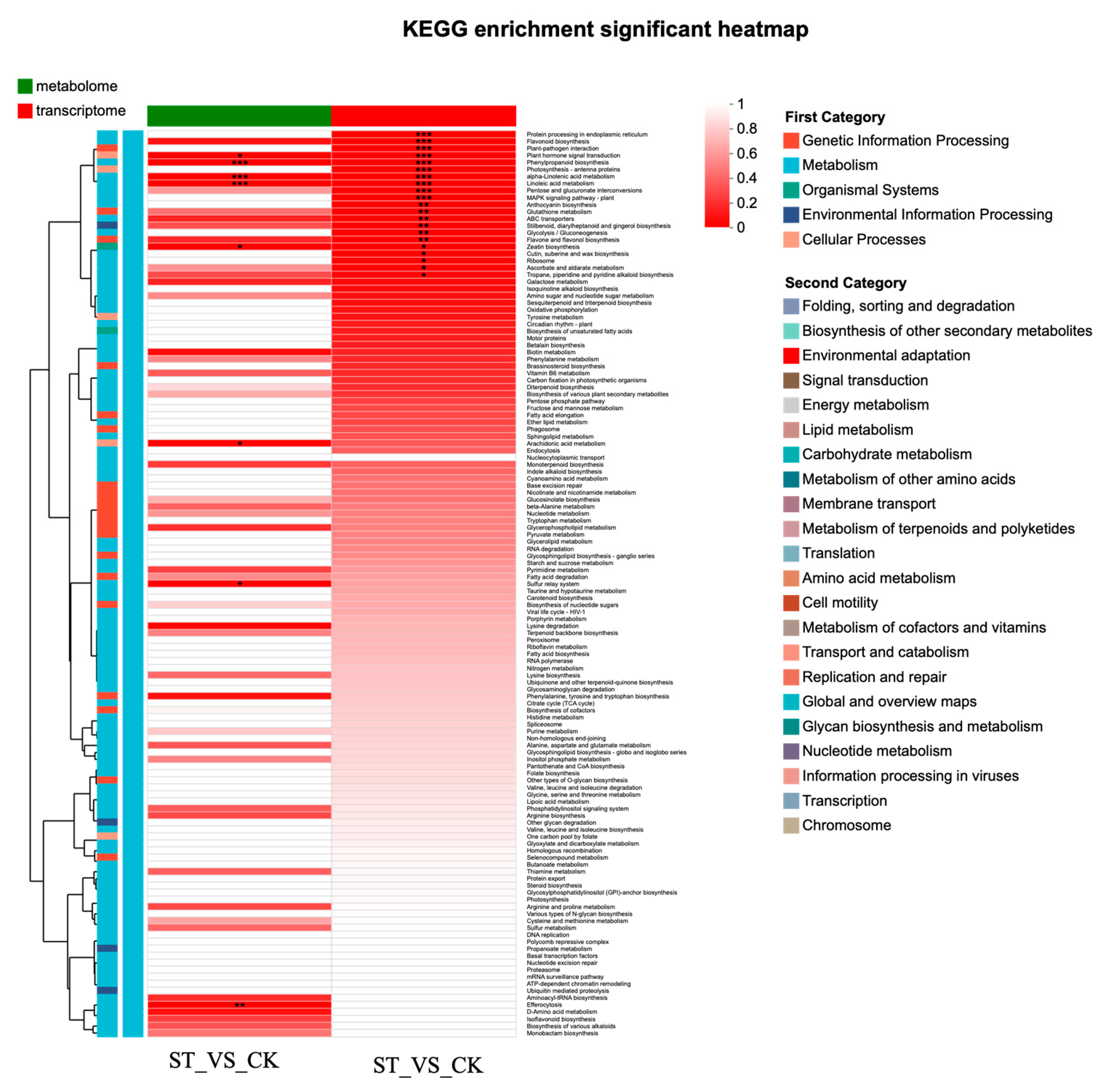 Antioxidants 15 00033 g007 Antioxidants 15 00033 g007