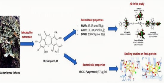 Chemical structures of lichen metabolites extracted from several lichens in Chile.
