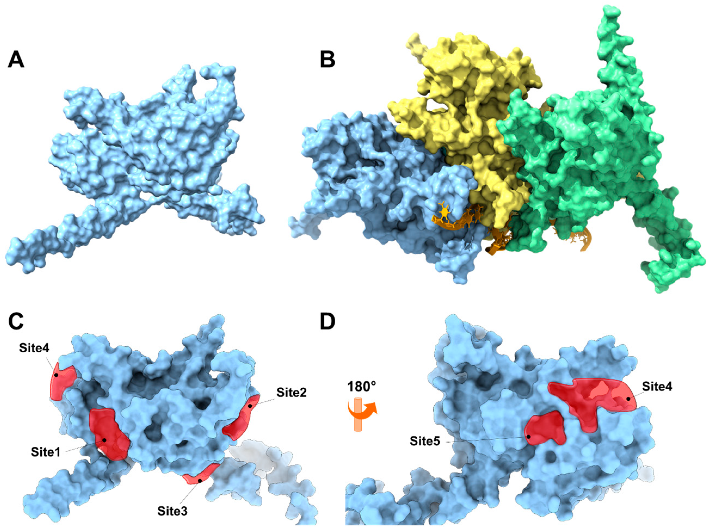 Antioxidants 15 00034 g006 Antioxidants 15 00034 g006
