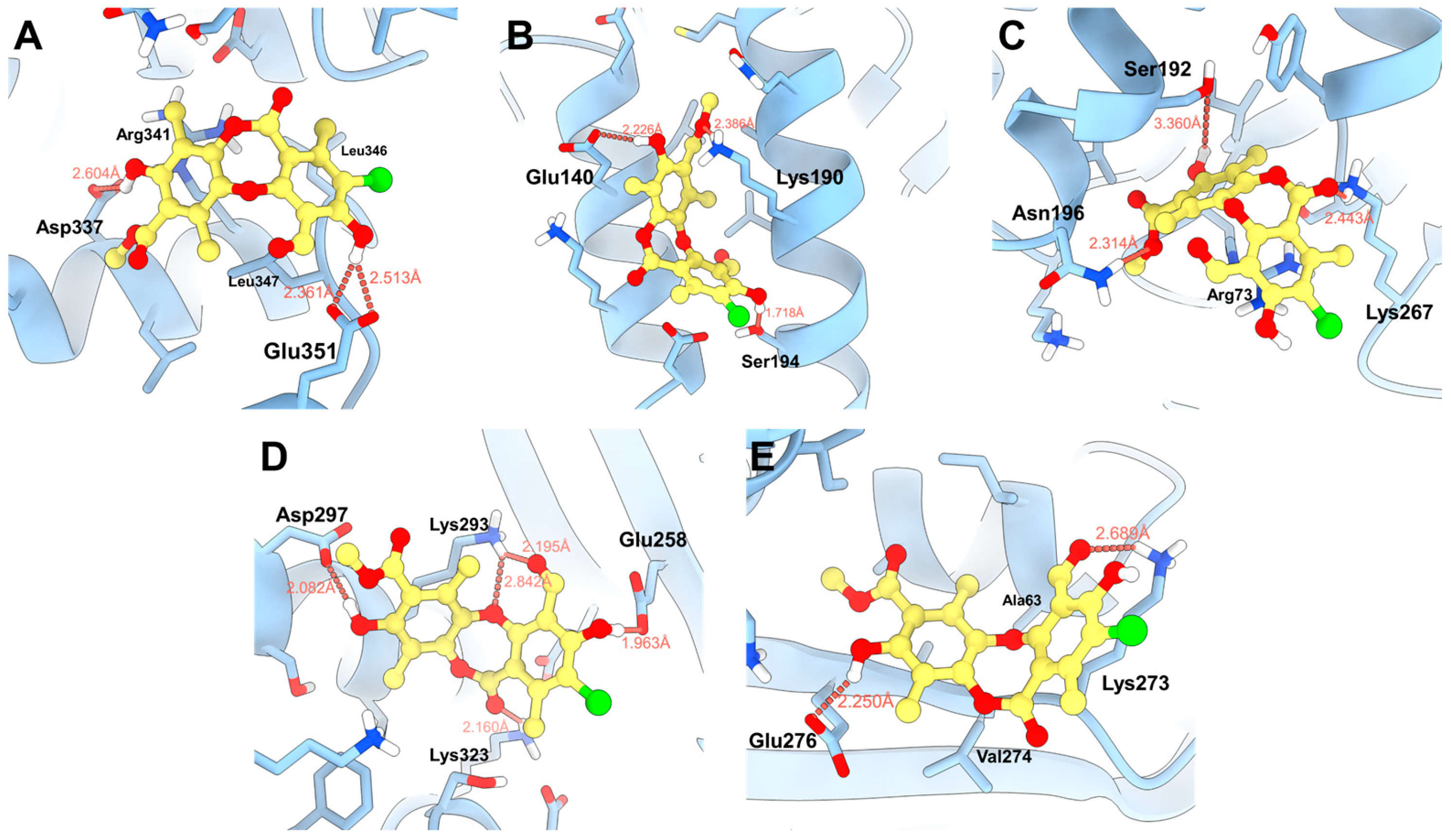 Antioxidants 15 00034 g007 Antioxidants 15 00034 g007