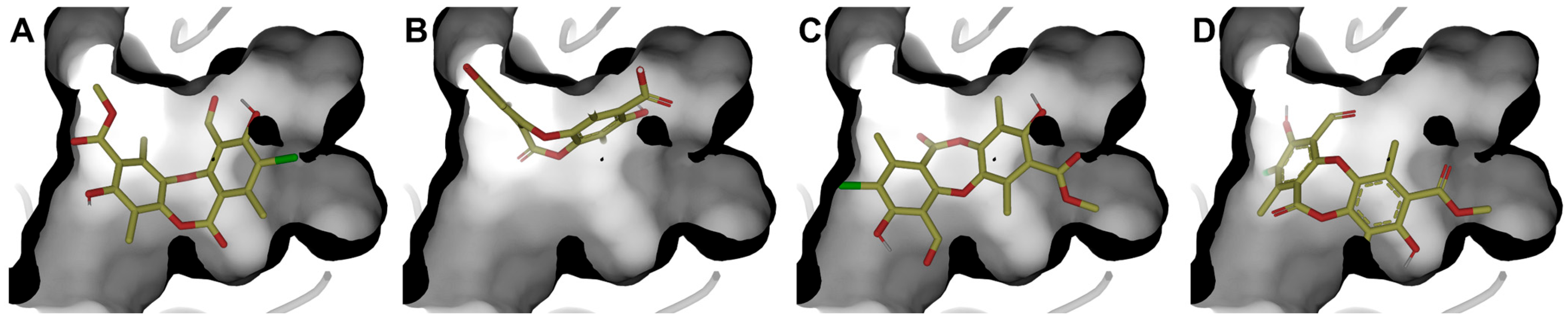 Antioxidants 15 00034 g008 Antioxidants 15 00034 g008