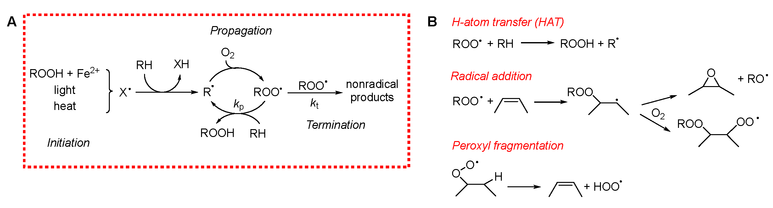 Antioxidants 15 00037 sch001