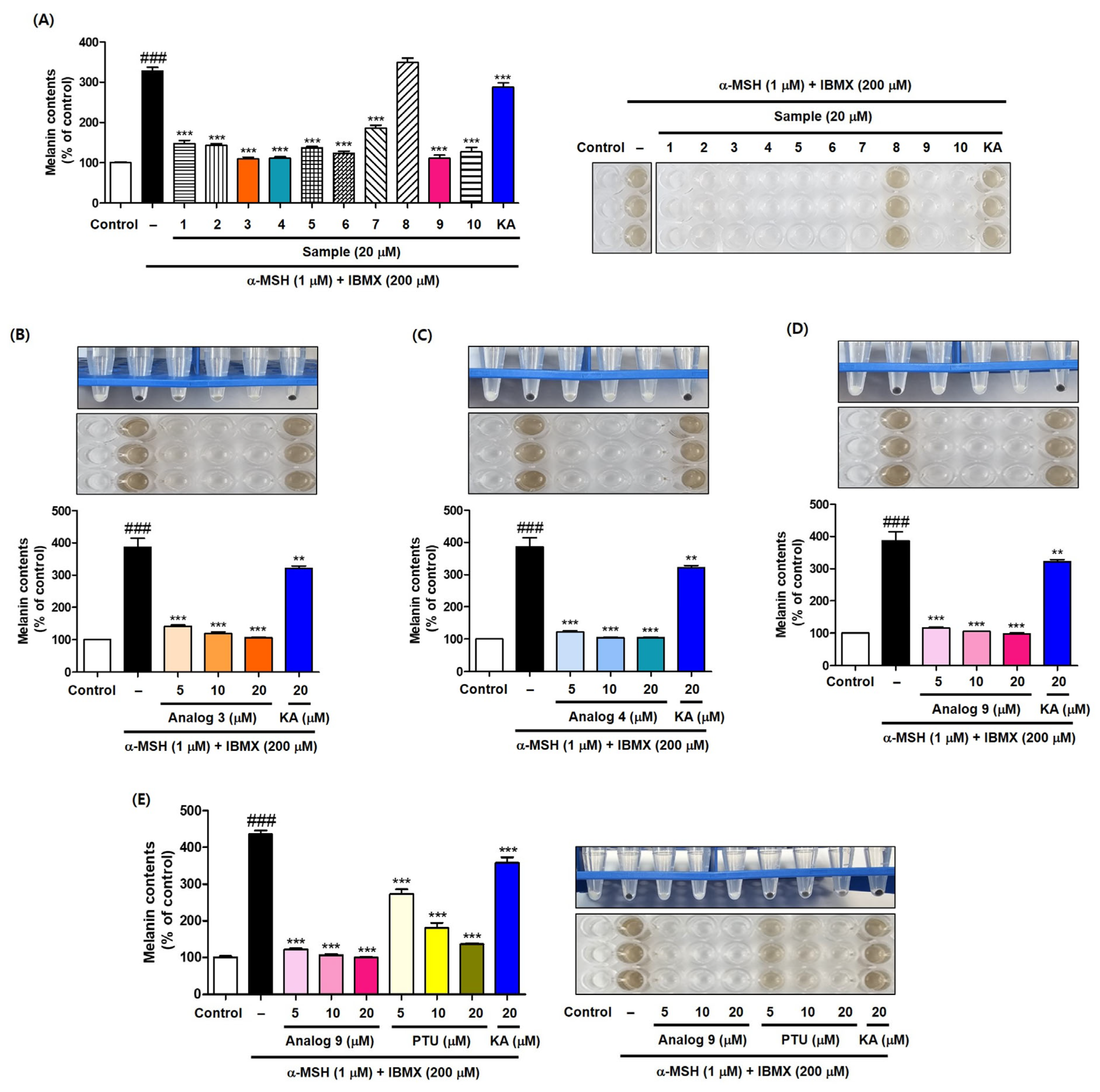 Antioxidants 15 00039 g005