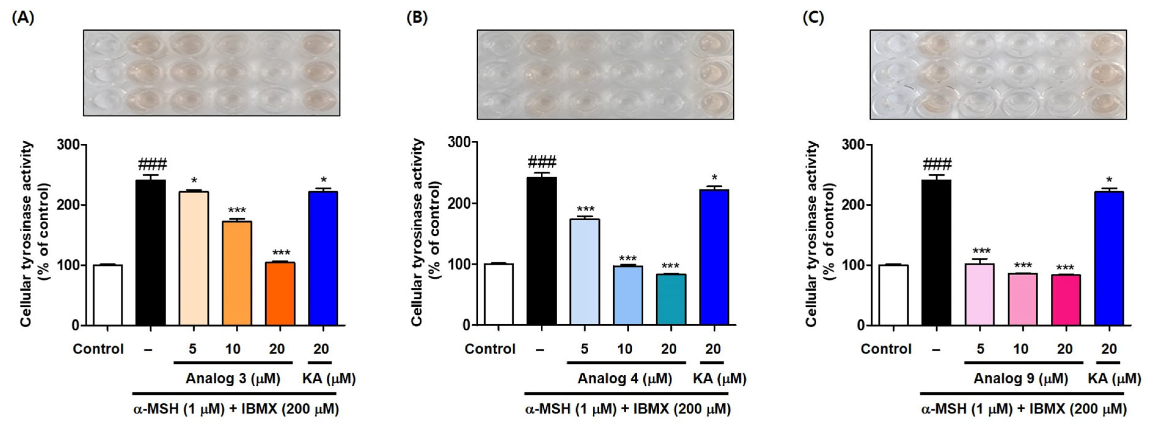 Antioxidants 15 00039 g006