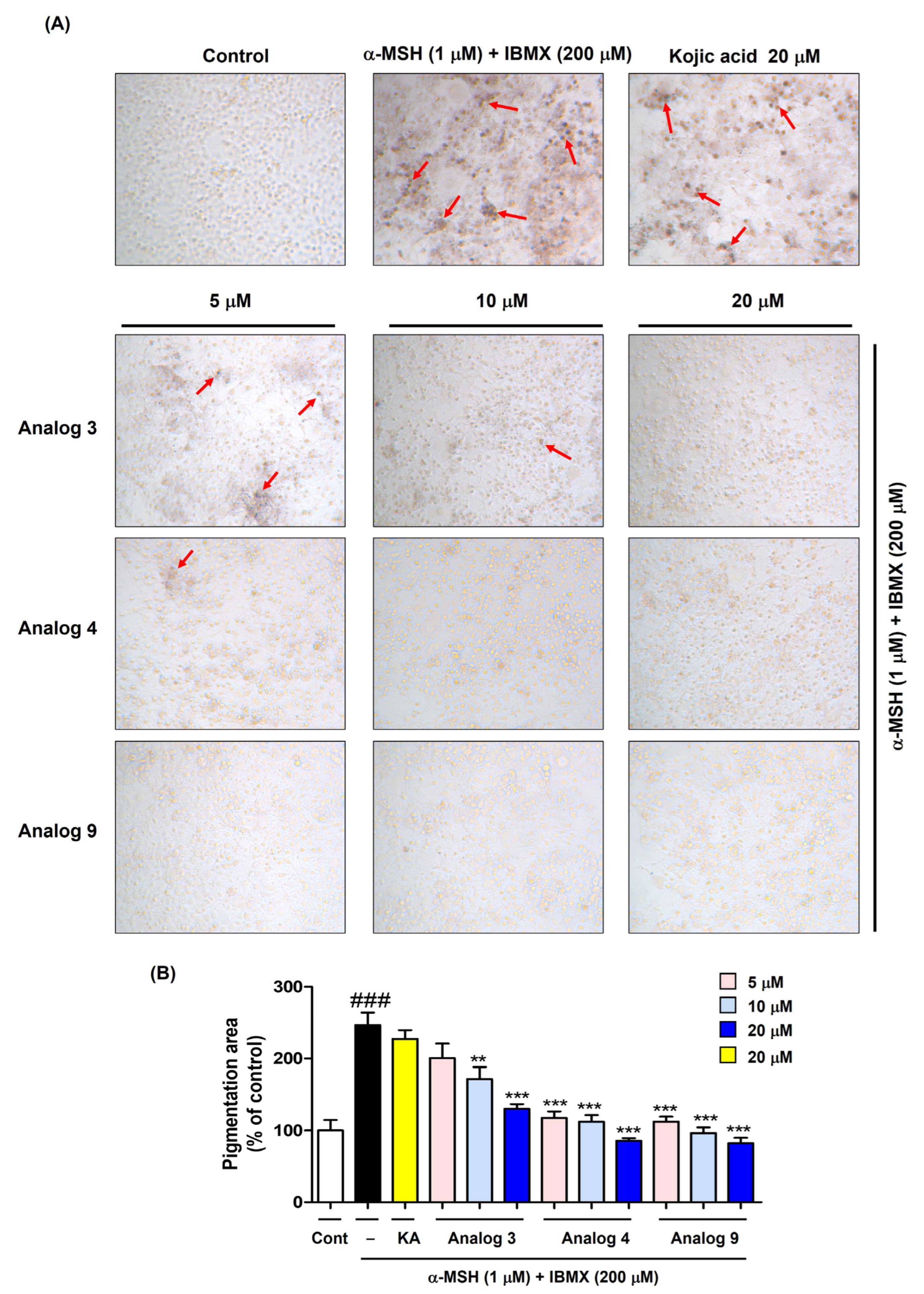 Antioxidants 15 00039 g007