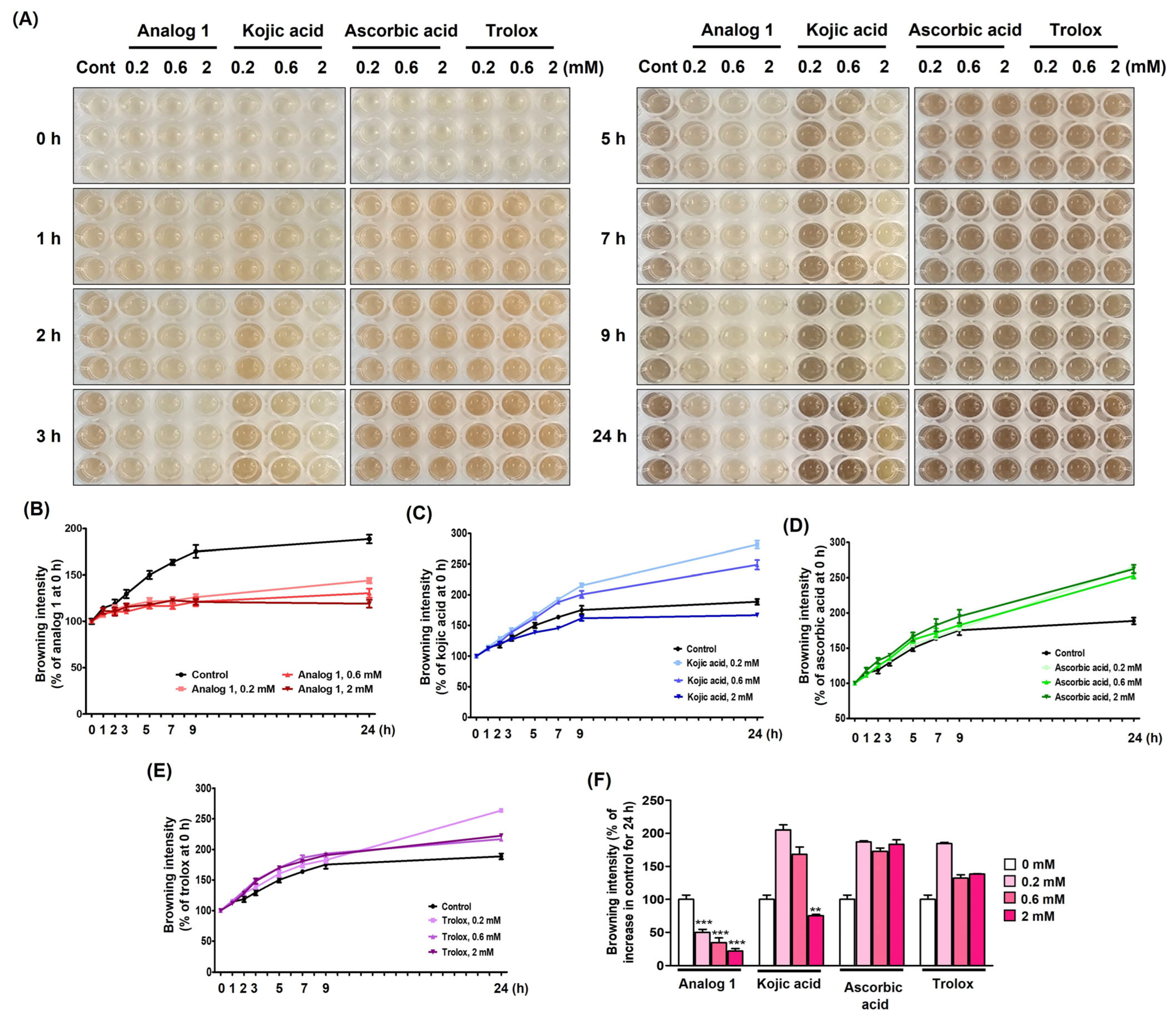 Antioxidants 15 00039 g008