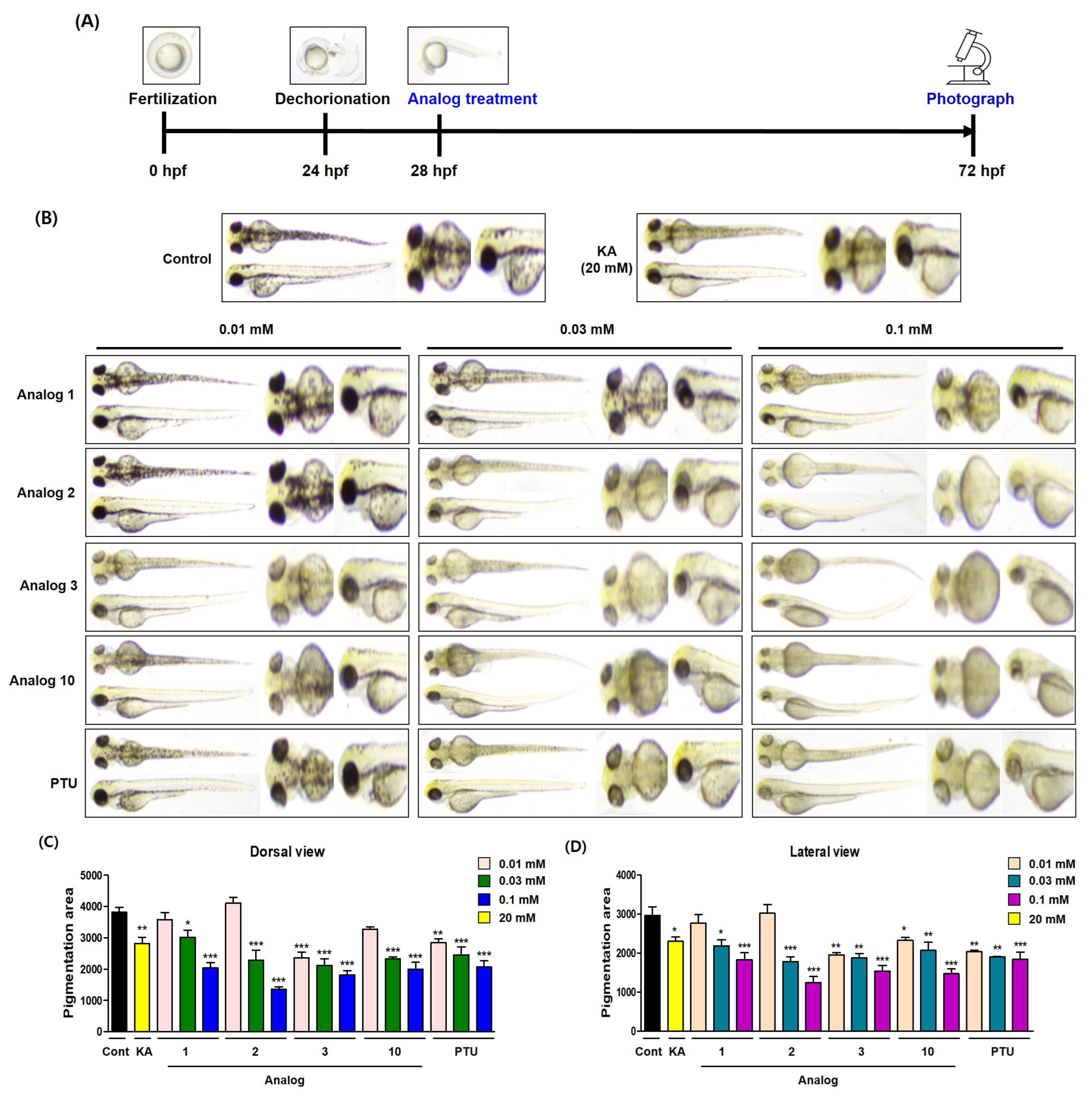 Antioxidants 15 00039 g009