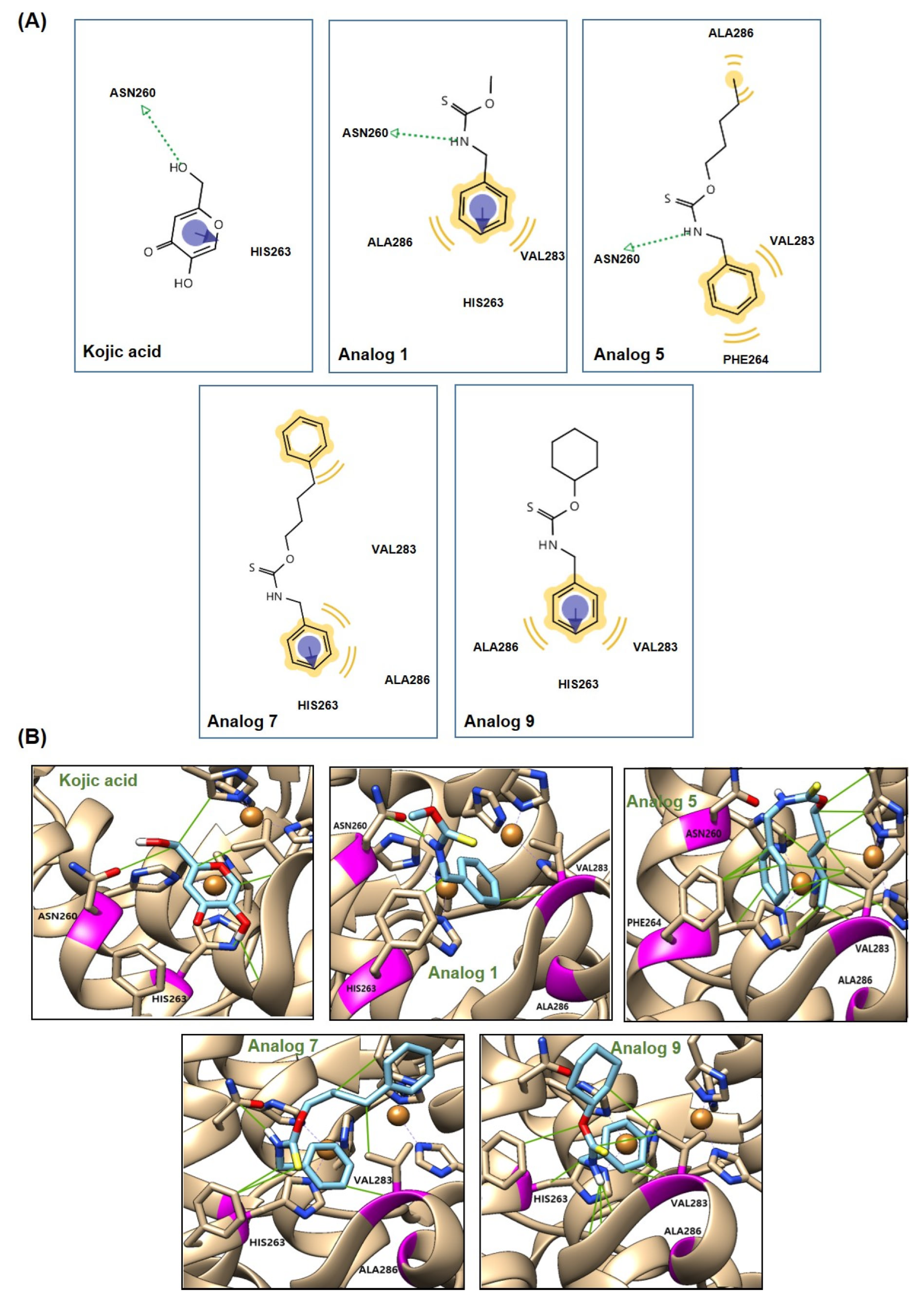 Antioxidants 15 00039 g012