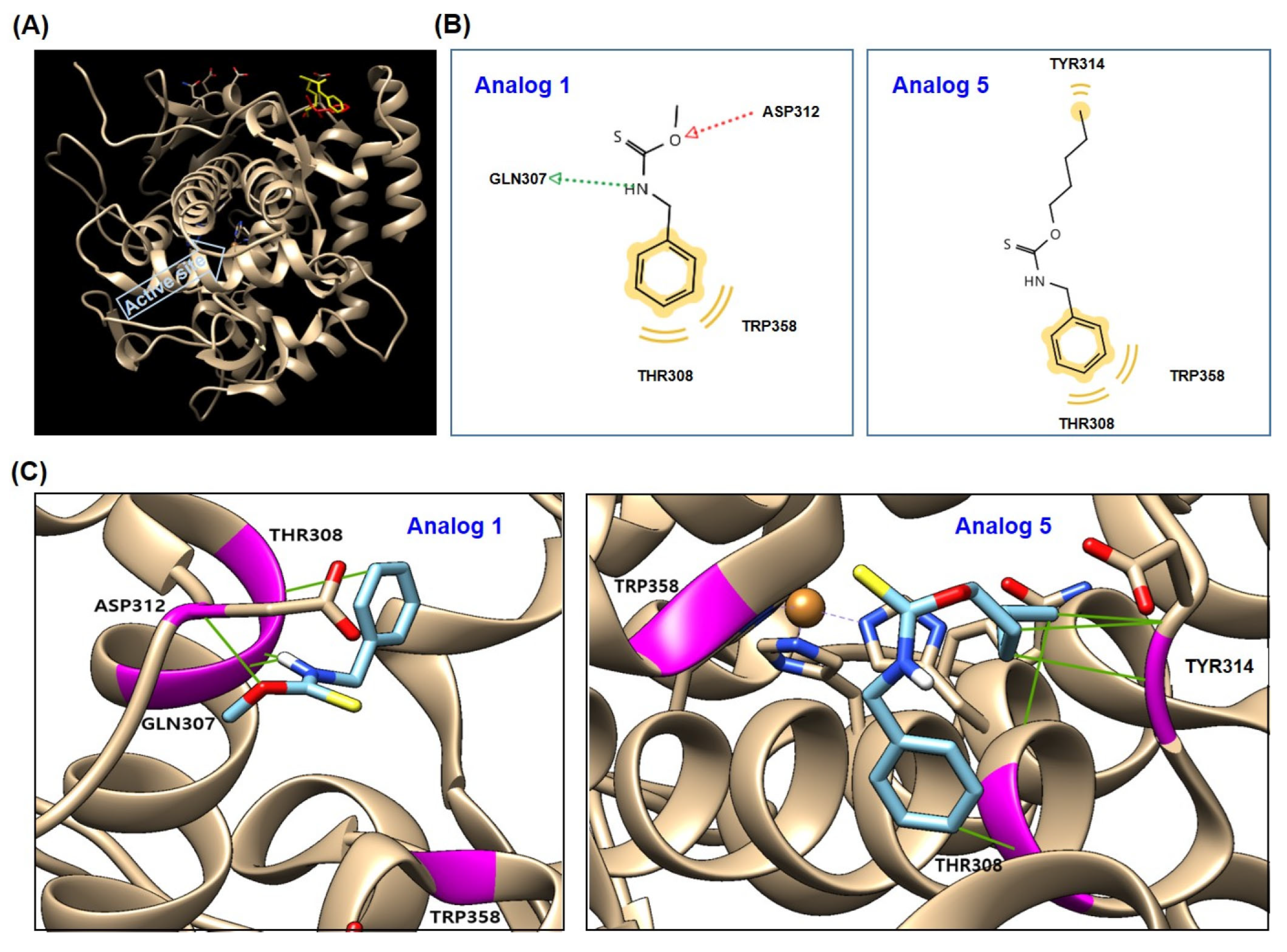 Antioxidants 15 00039 g013