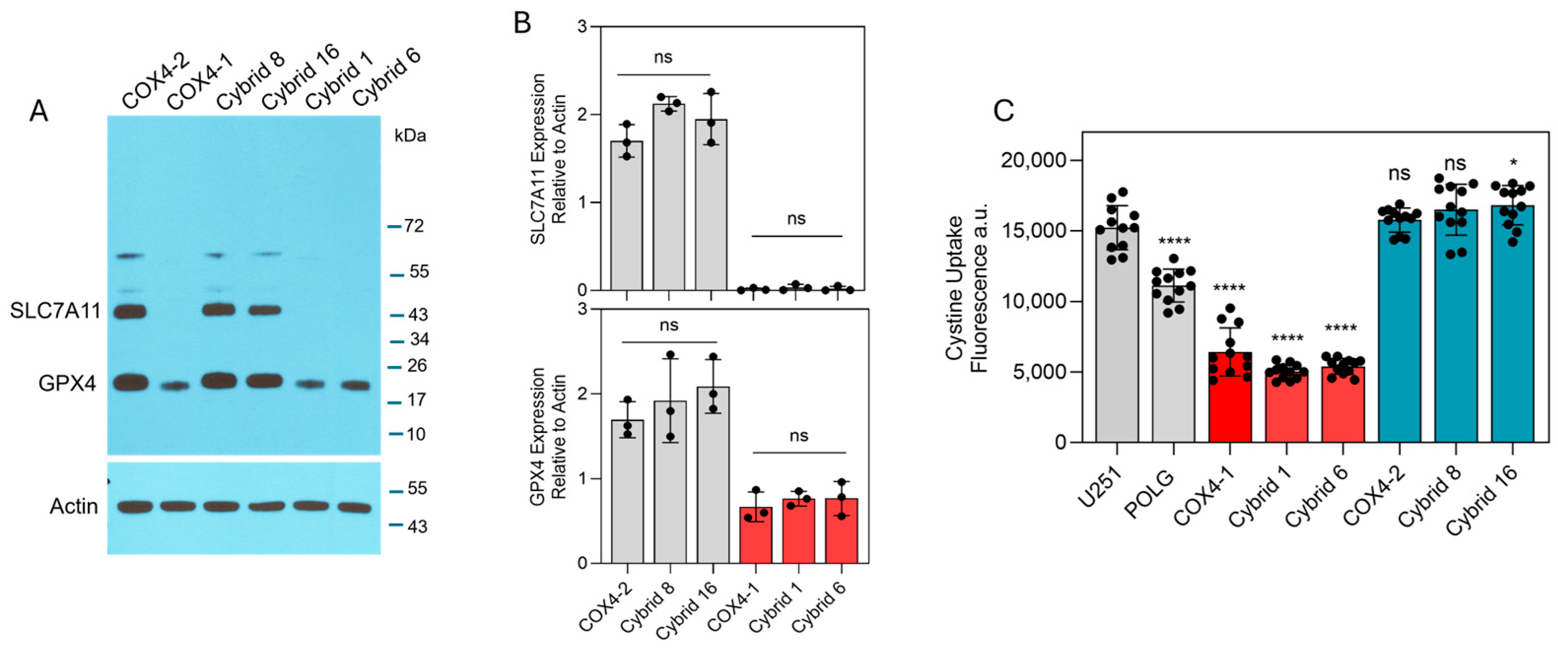 Antioxidants 15 00040 g003 Antioxidants 15 00040 g003