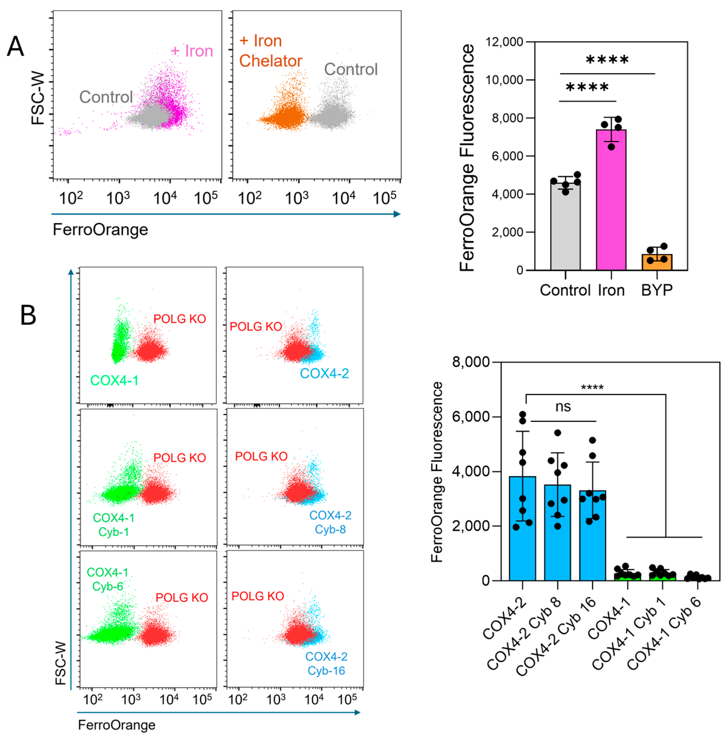 Antioxidants 15 00040 g004 Antioxidants 15 00040 g004