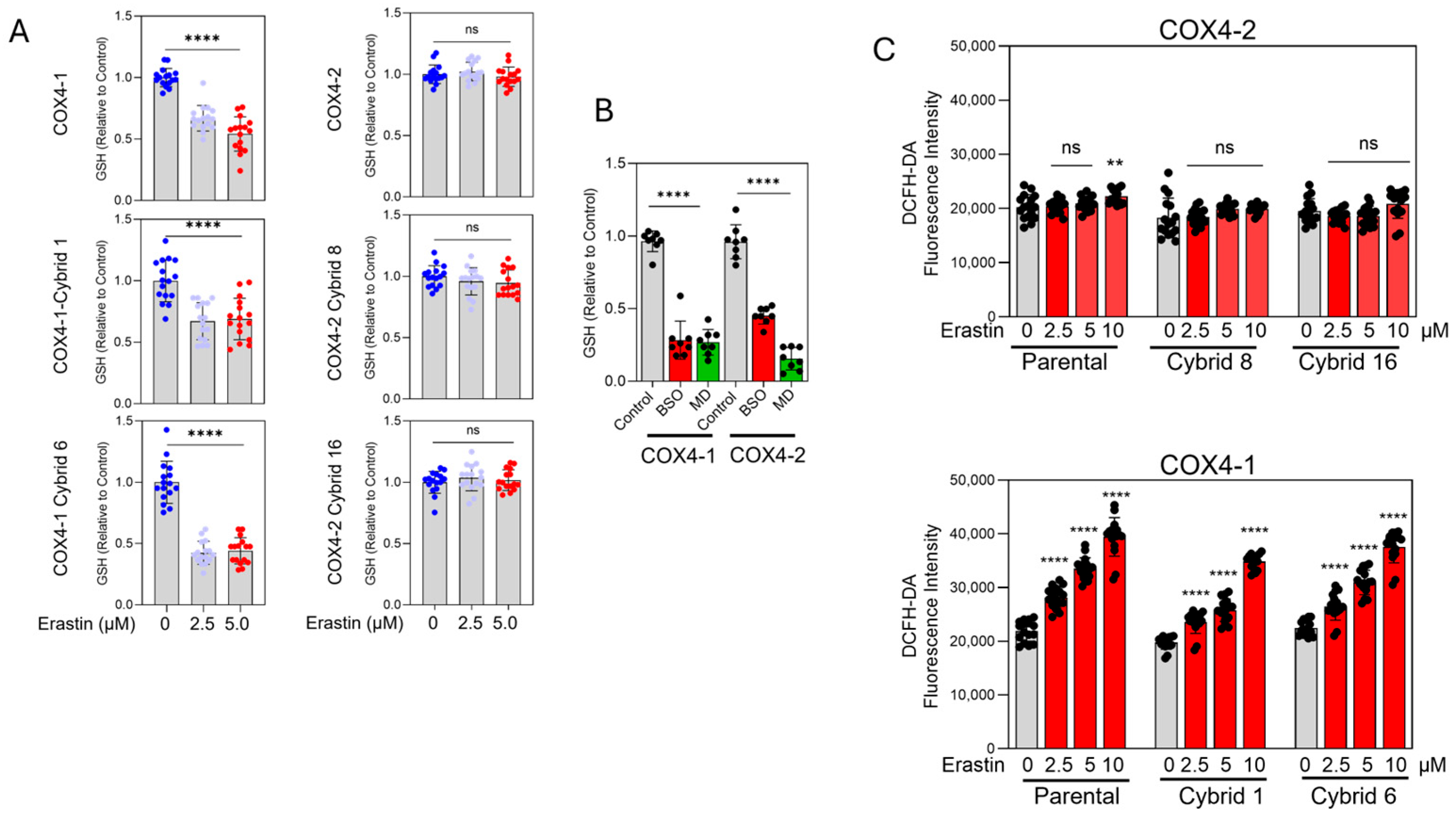 Antioxidants 15 00040 g005 Antioxidants 15 00040 g005