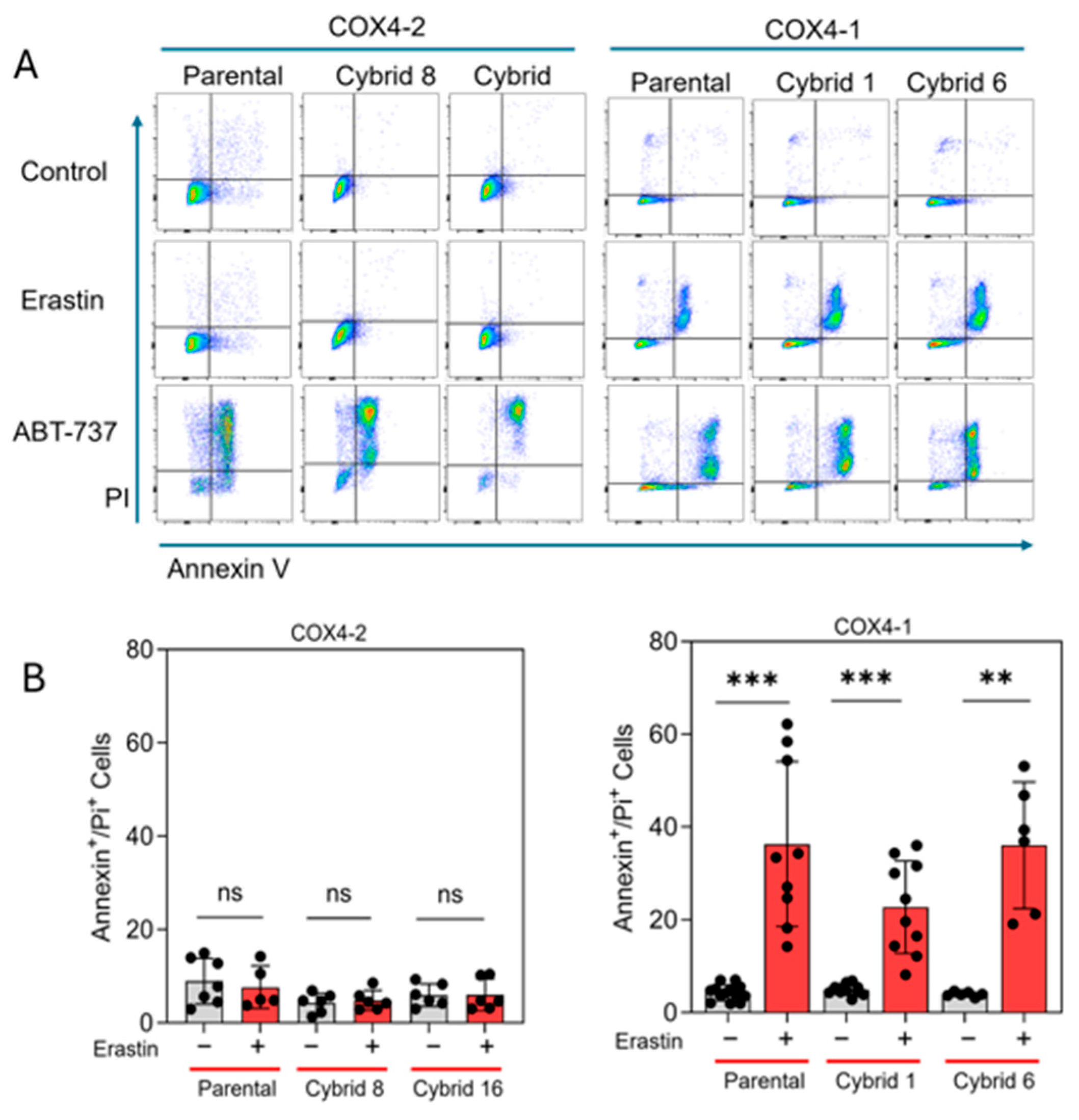 Antioxidants 15 00040 g006 Antioxidants 15 00040 g006