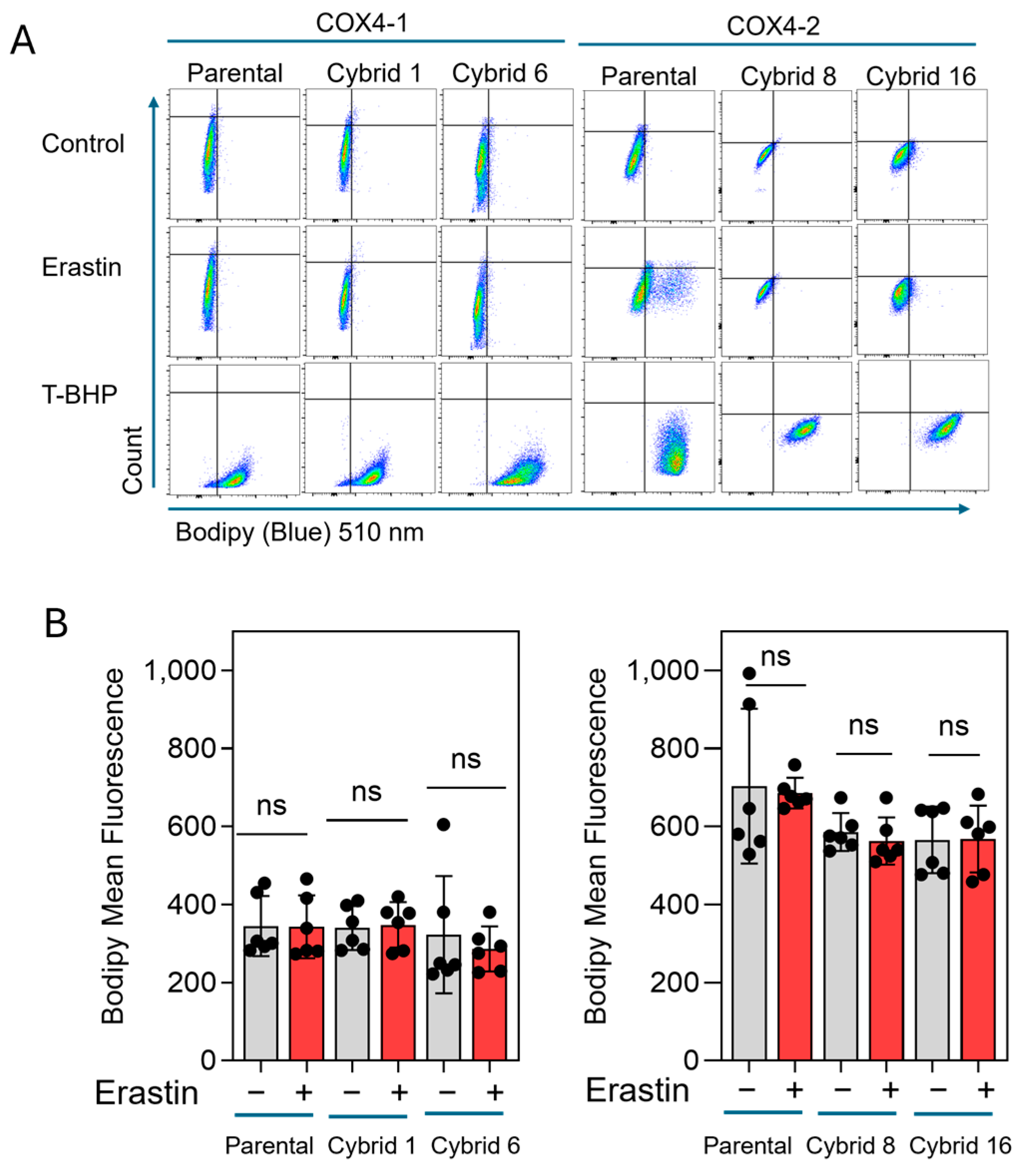Antioxidants 15 00040 g007 Antioxidants 15 00040 g007