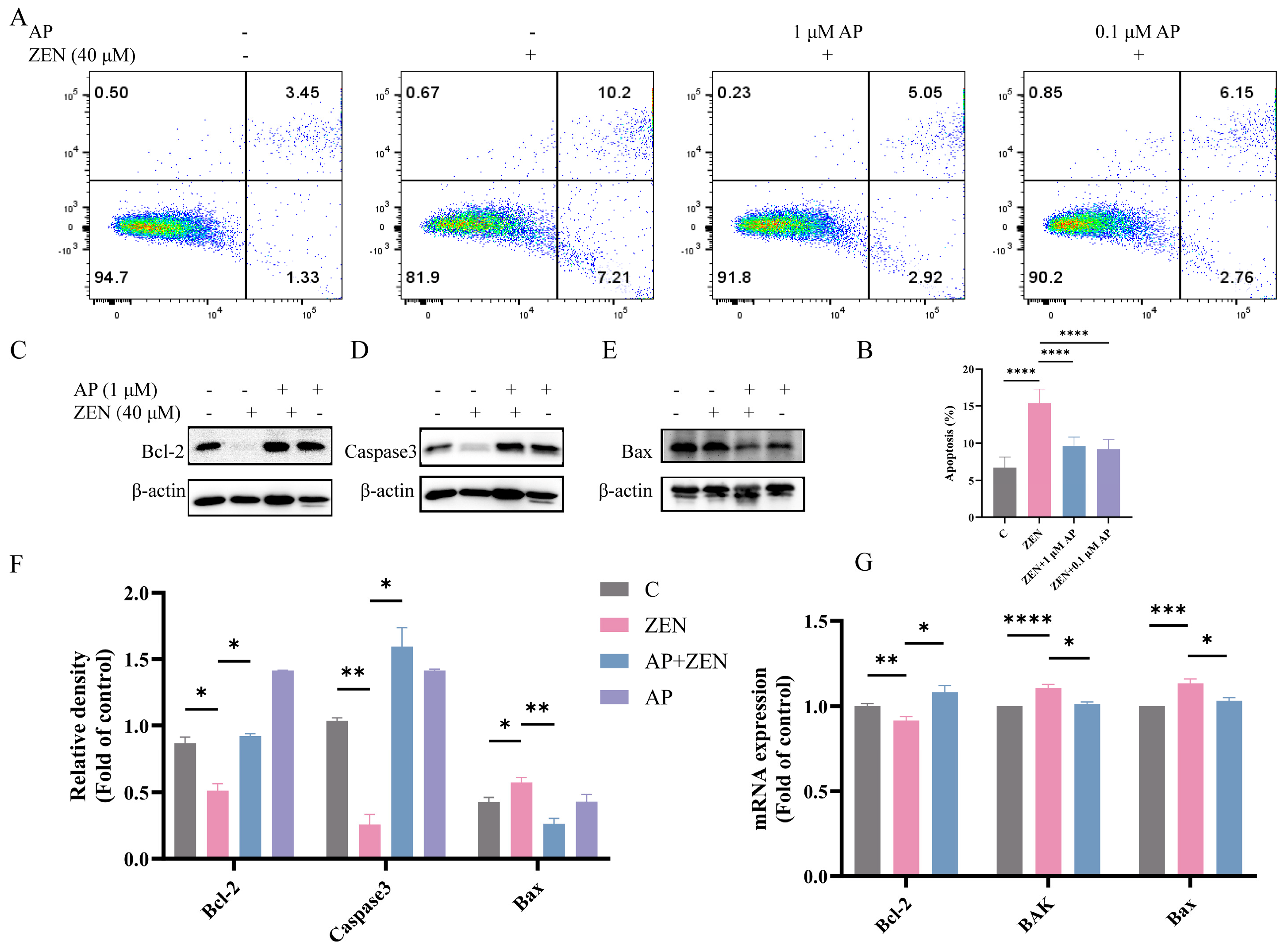 Antioxidants 15 00042 g004