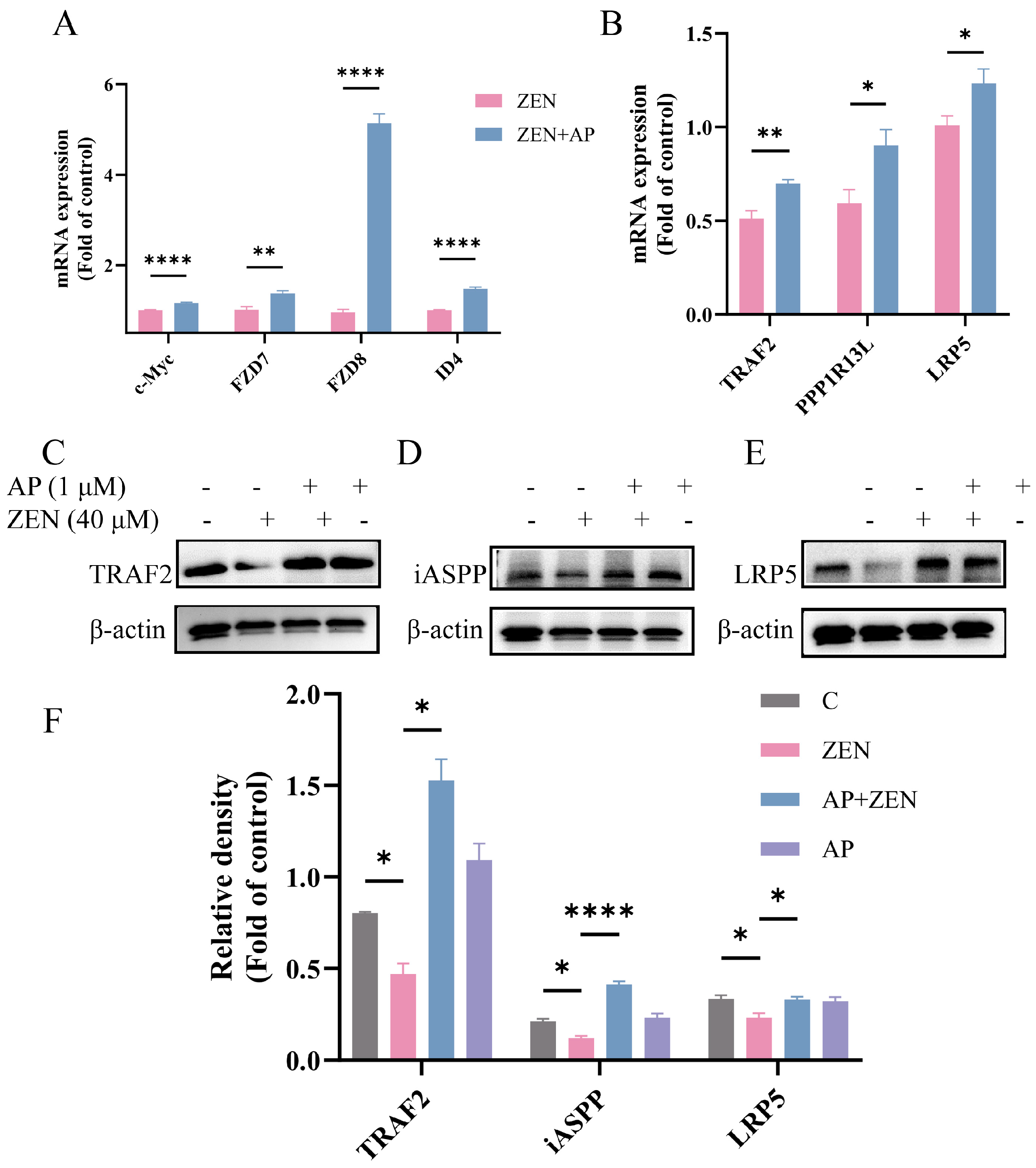Antioxidants 15 00042 g007