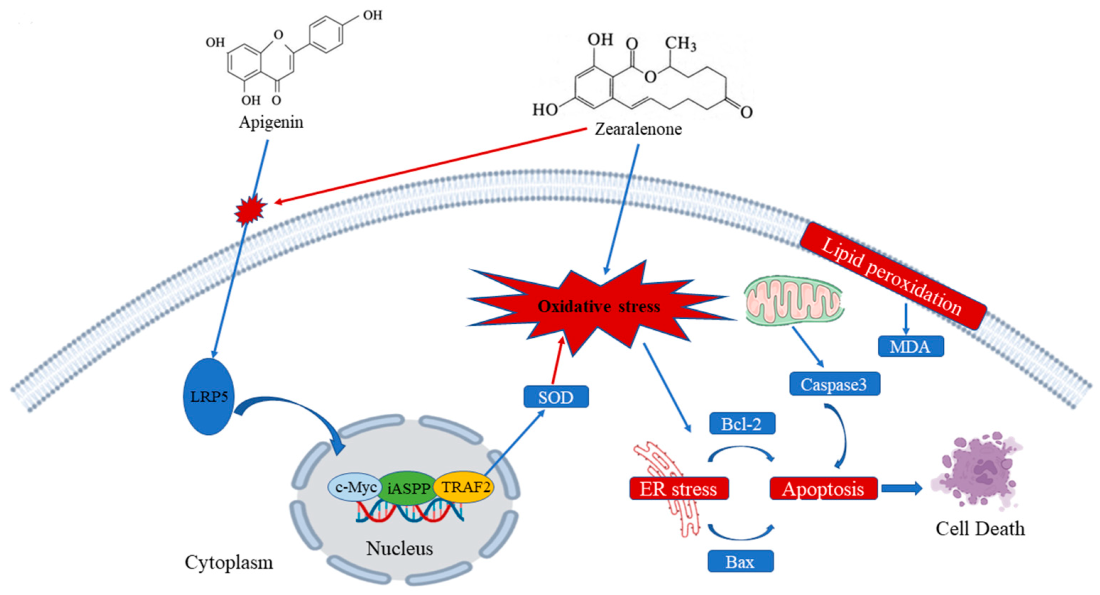 Antioxidants 15 00042 g009