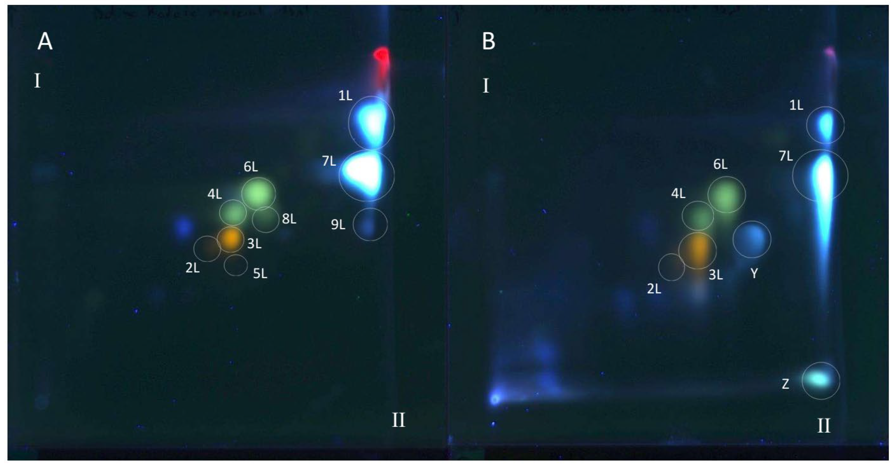 Antioxidants 15 00046 g003 Antioxidants 15 00046 g003