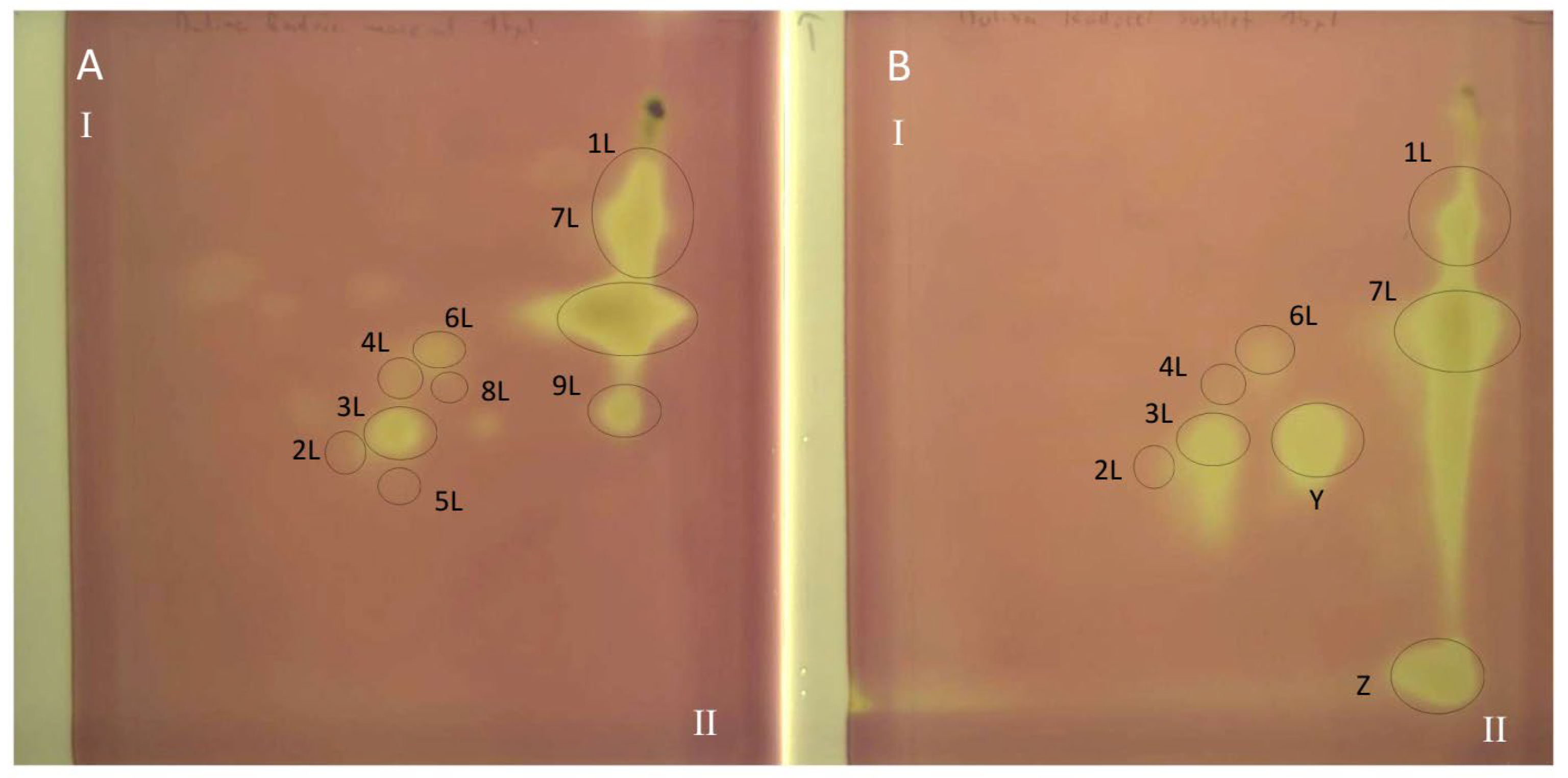 Antioxidants 15 00046 g004 Antioxidants 15 00046 g004