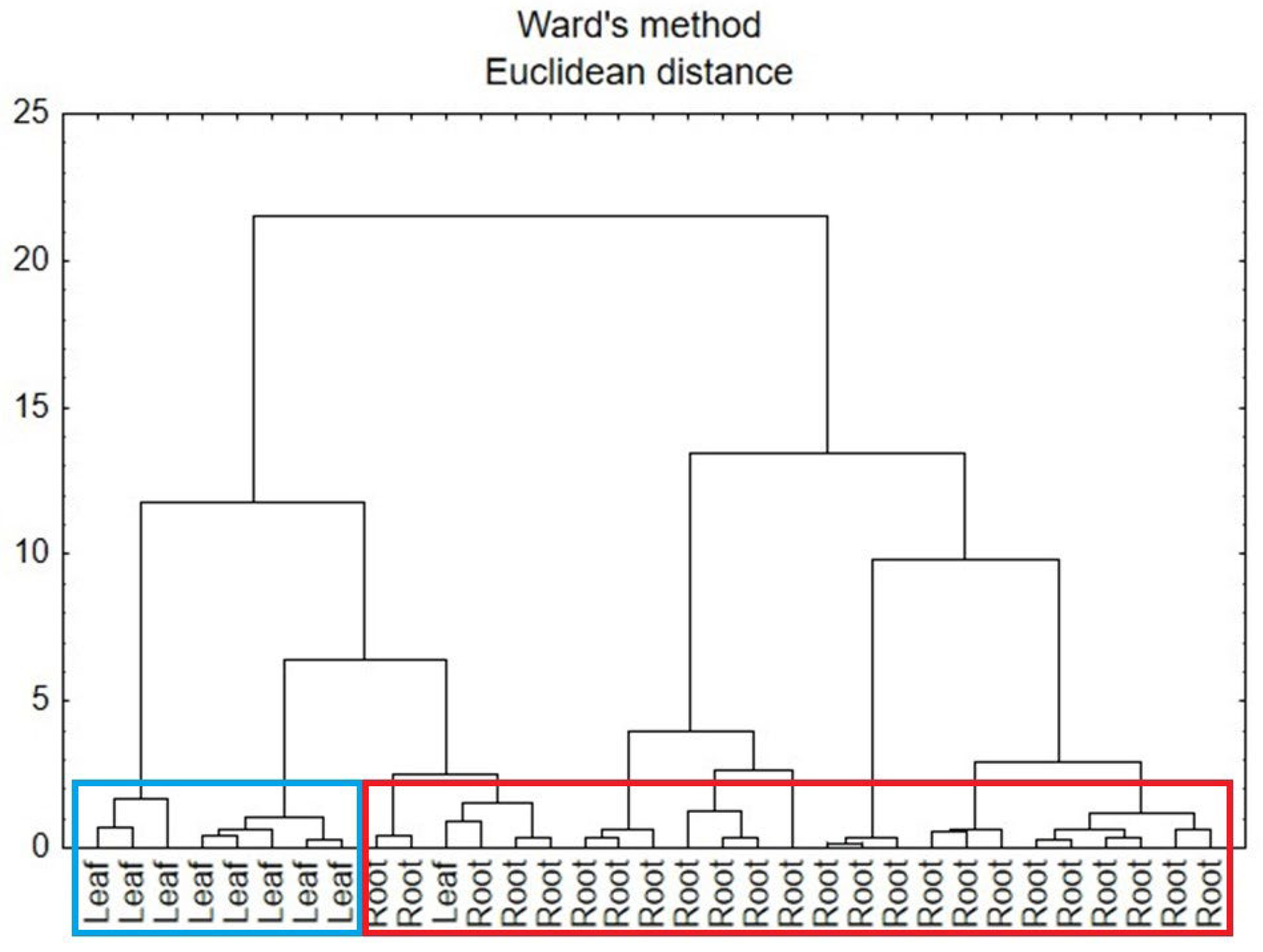 Antioxidants 15 00046 g009 Antioxidants 15 00046 g009