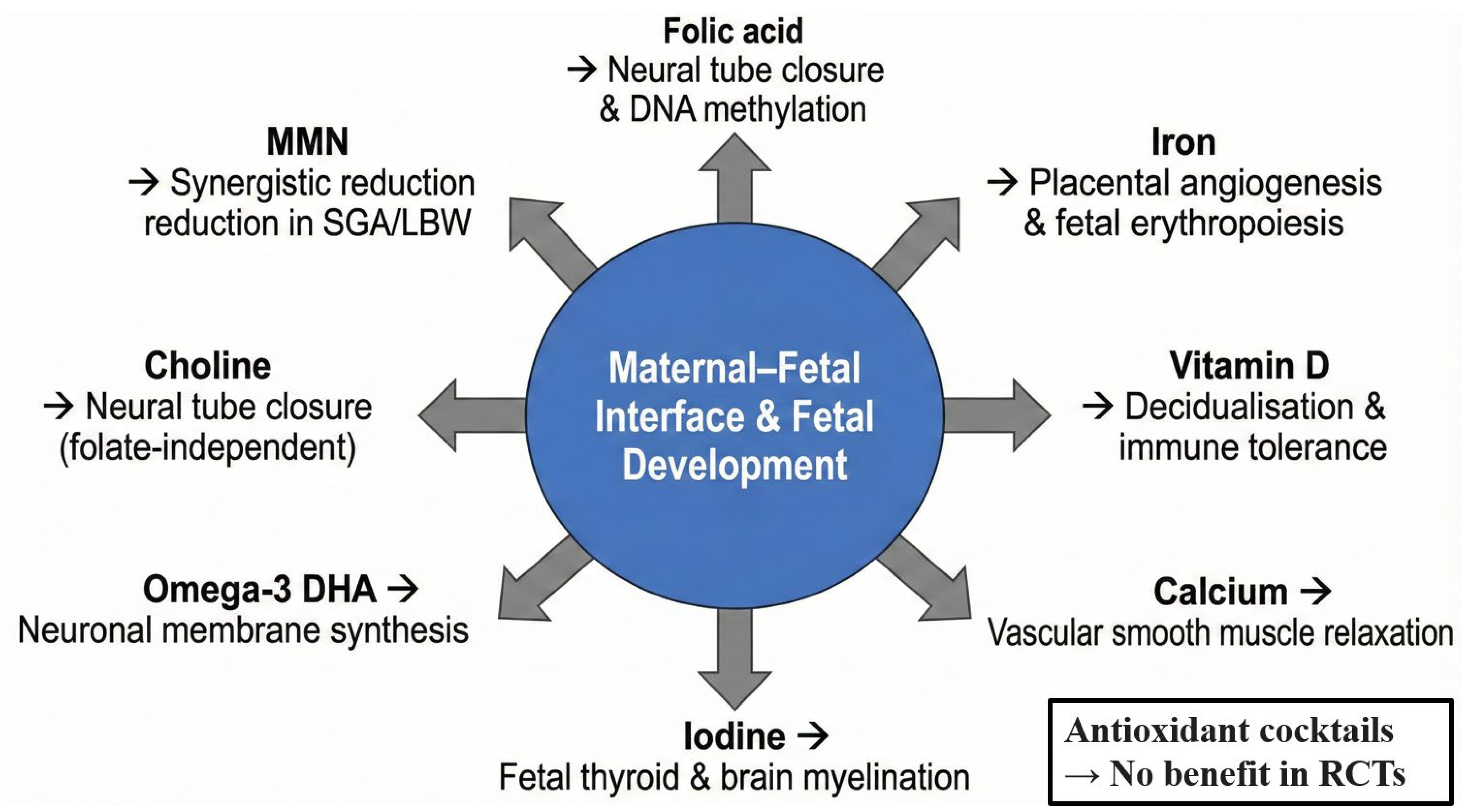 Antioxidants 15 00057 g002 Antioxidants 15 00057 g002
