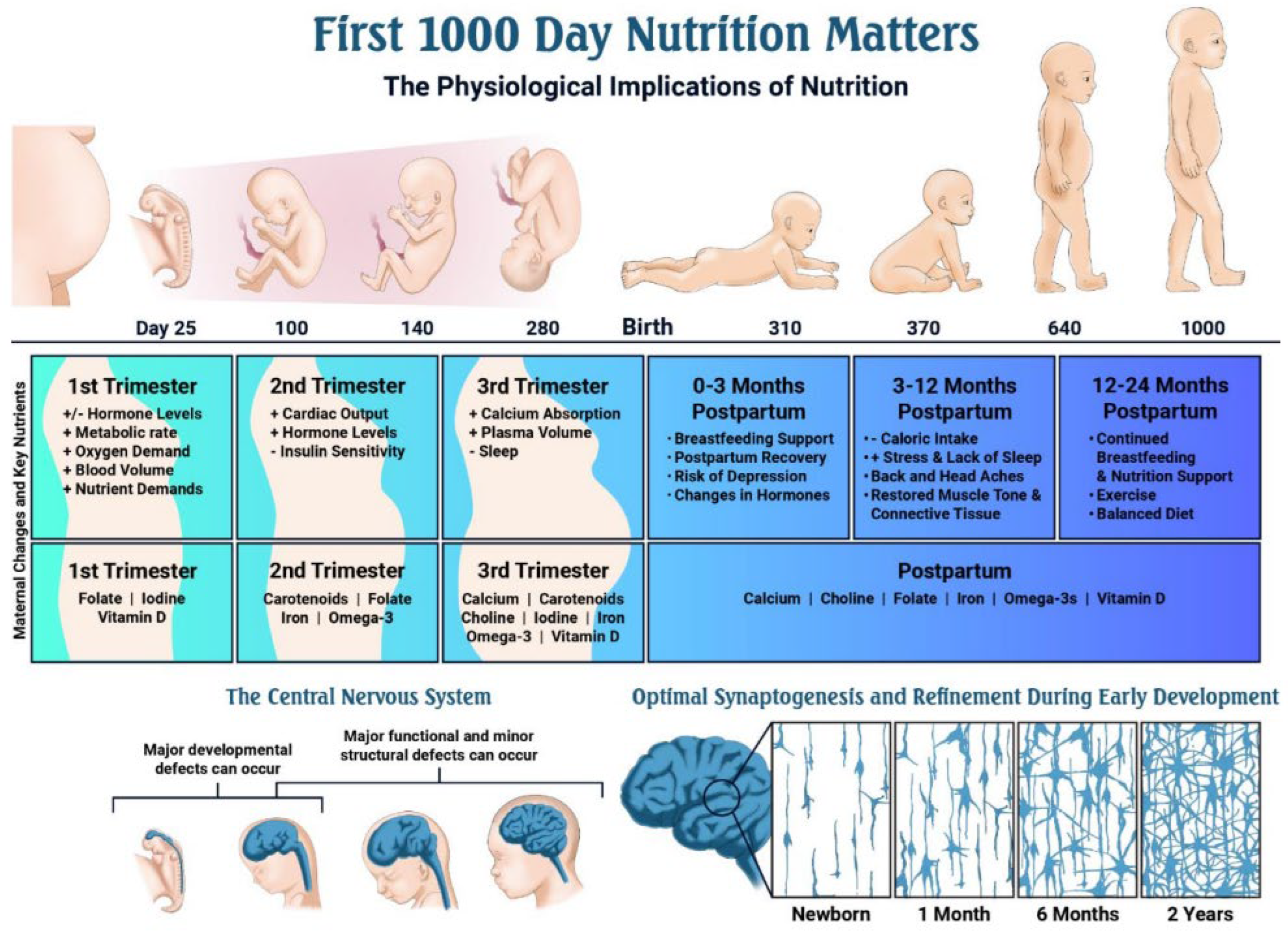 Antioxidants 15 00057 g003 Antioxidants 15 00057 g003
