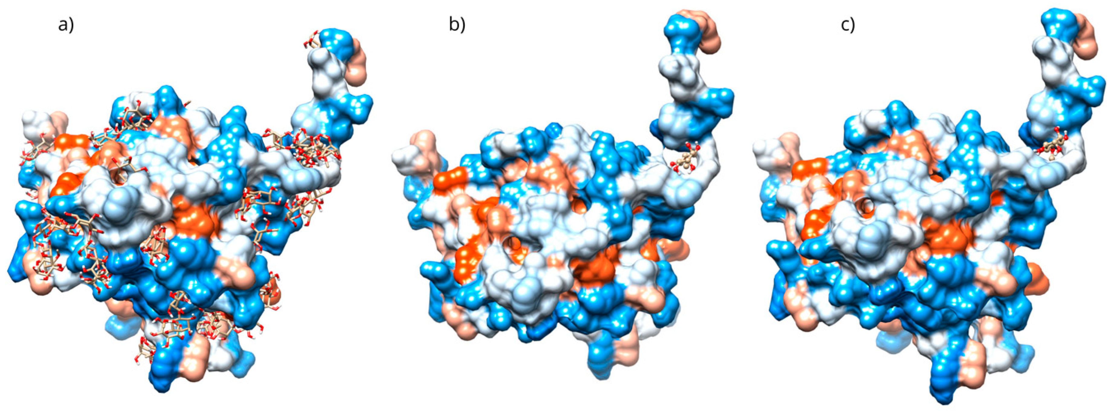 Antioxidants 15 00059 g012 Antioxidants 15 00059 g012