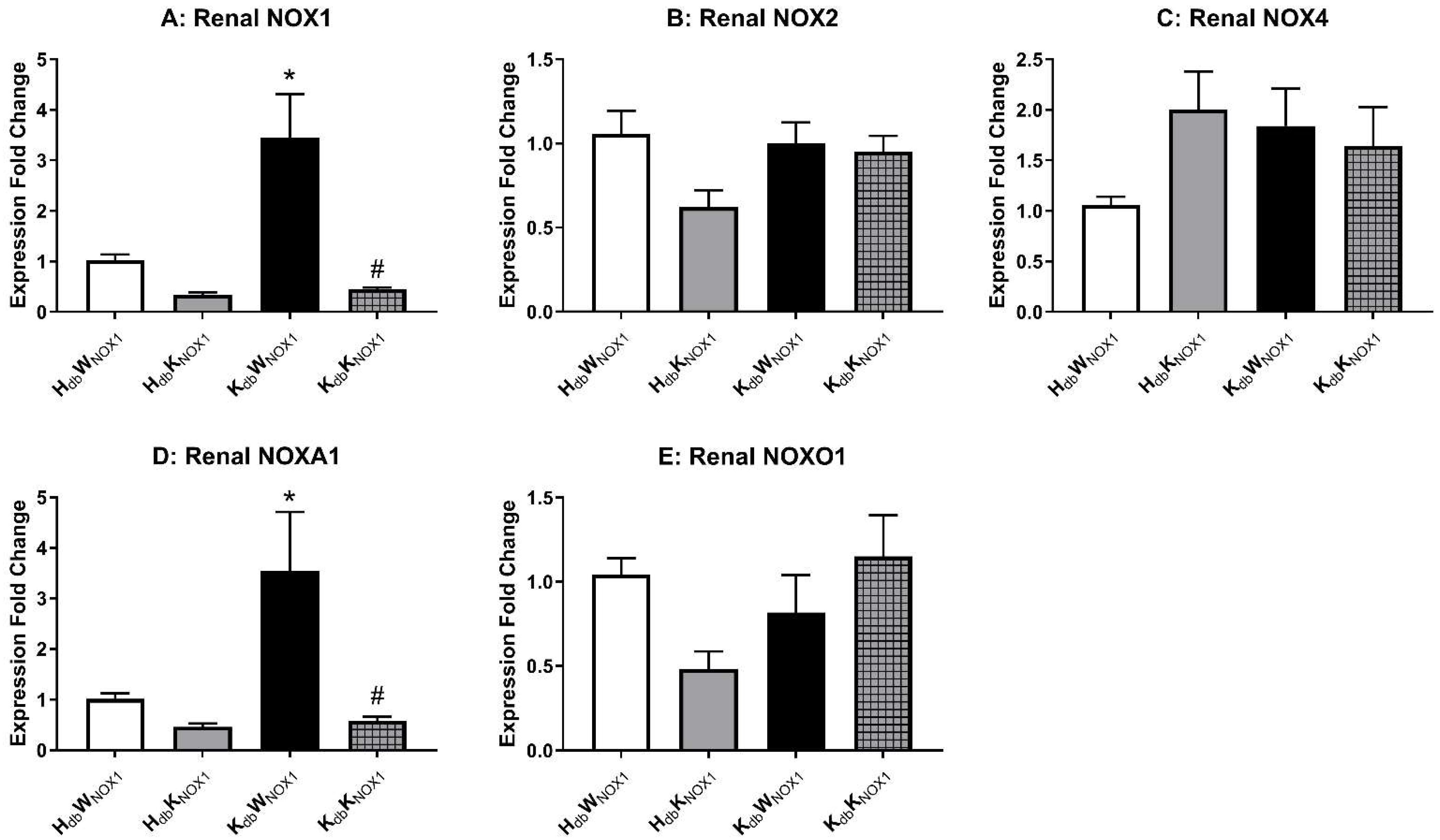 Antioxidants 15 00060 g004