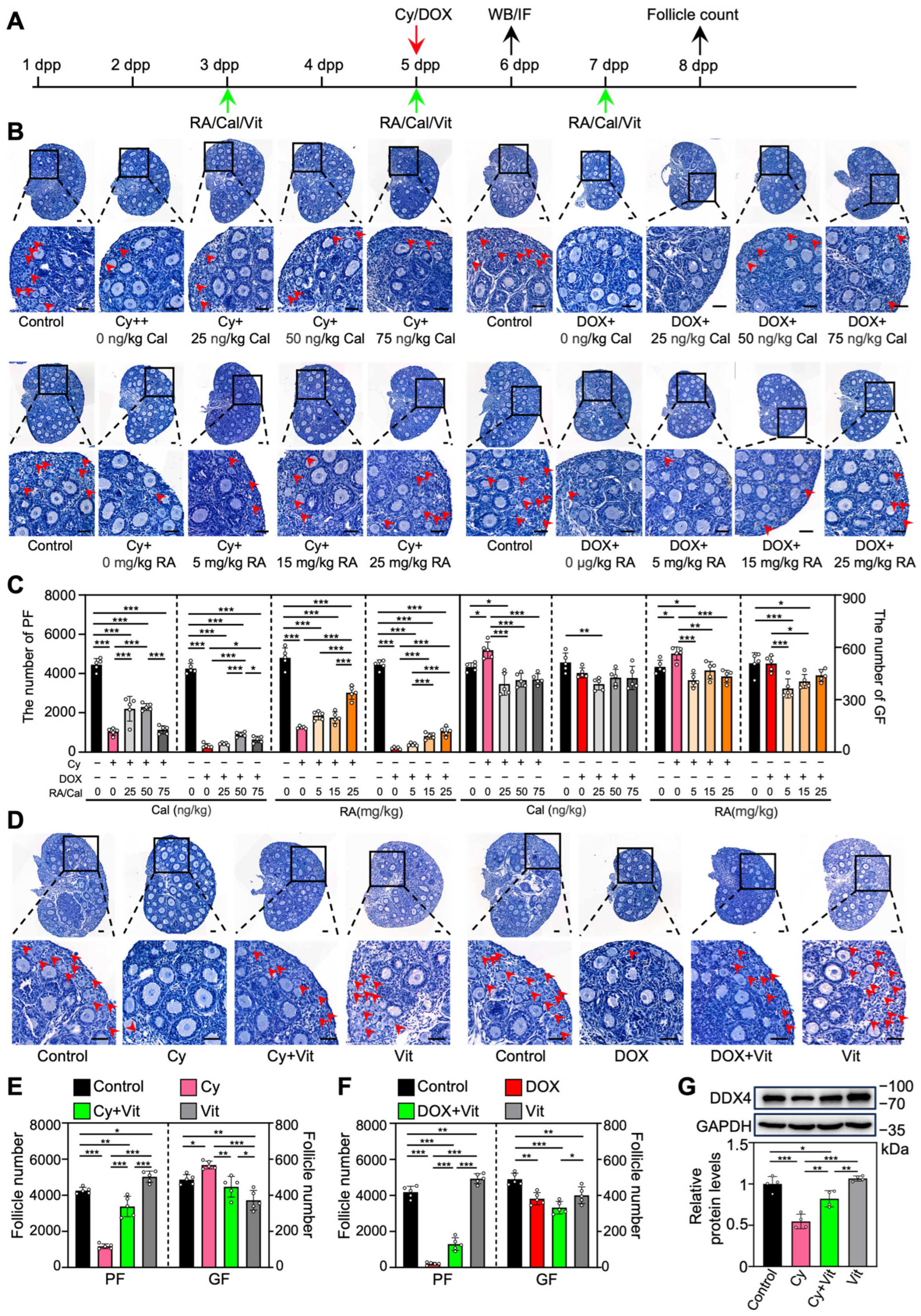 Antioxidants 15 00068 g001