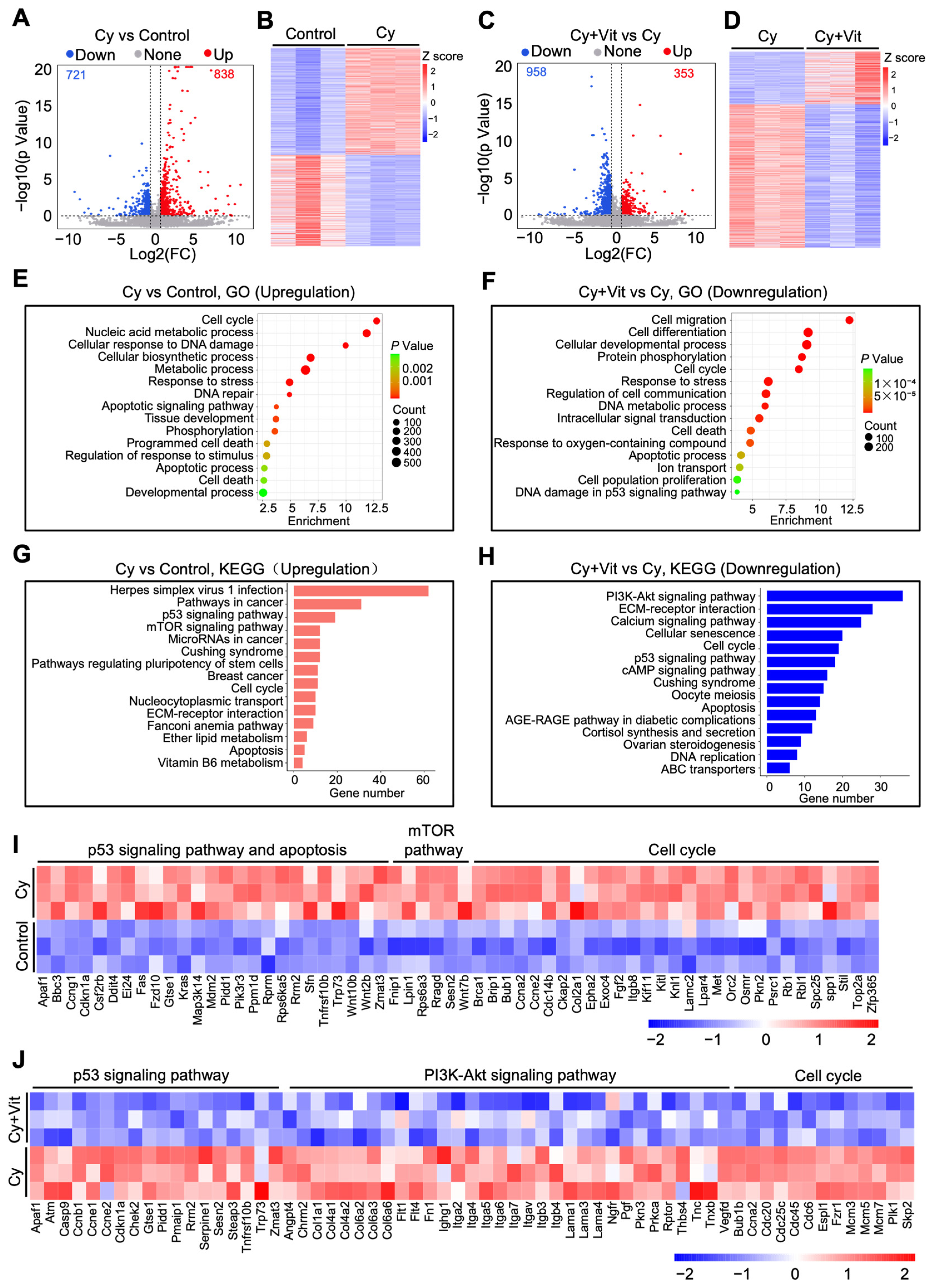 Antioxidants 15 00068 g002