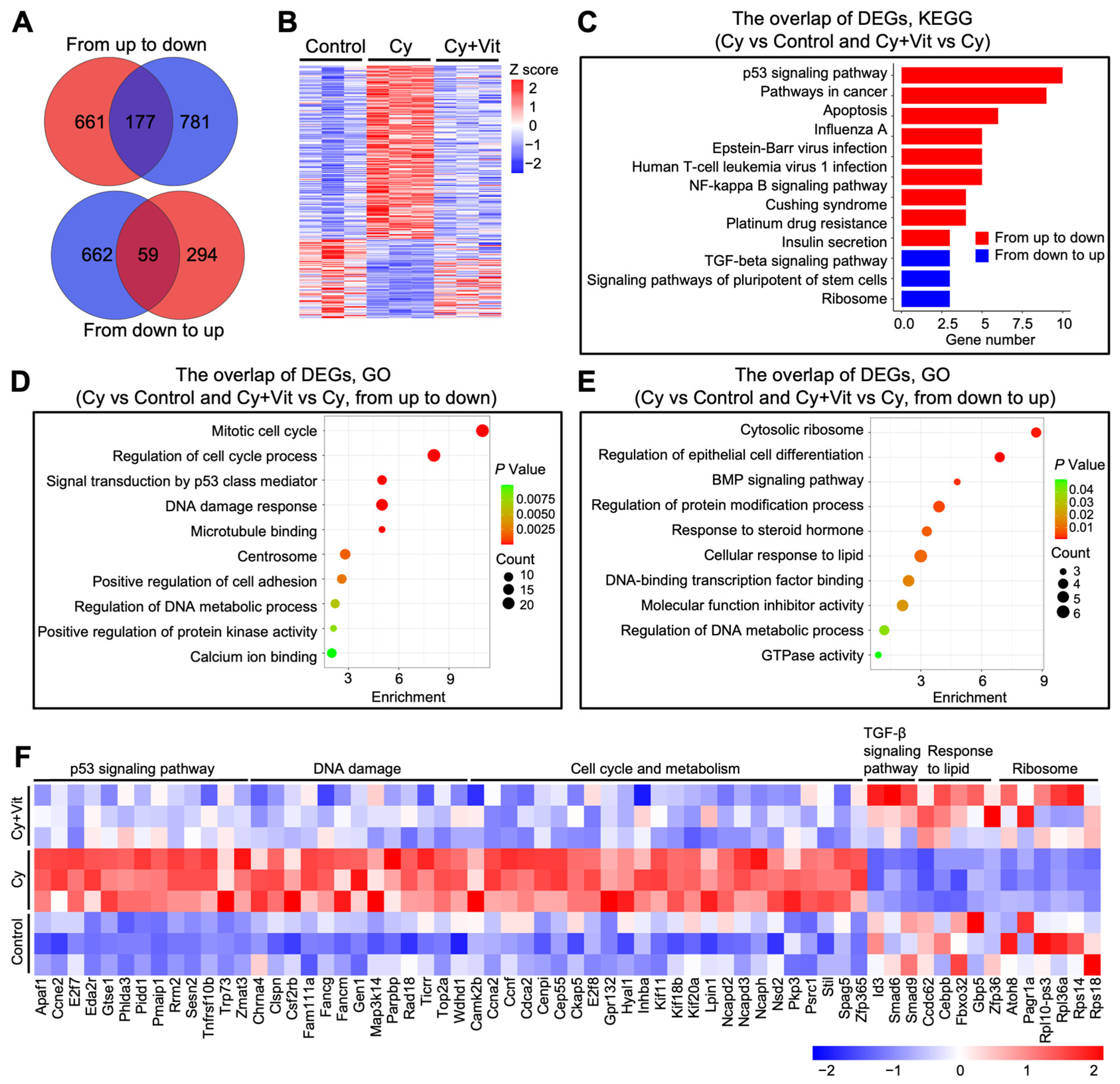 Antioxidants 15 00068 g003