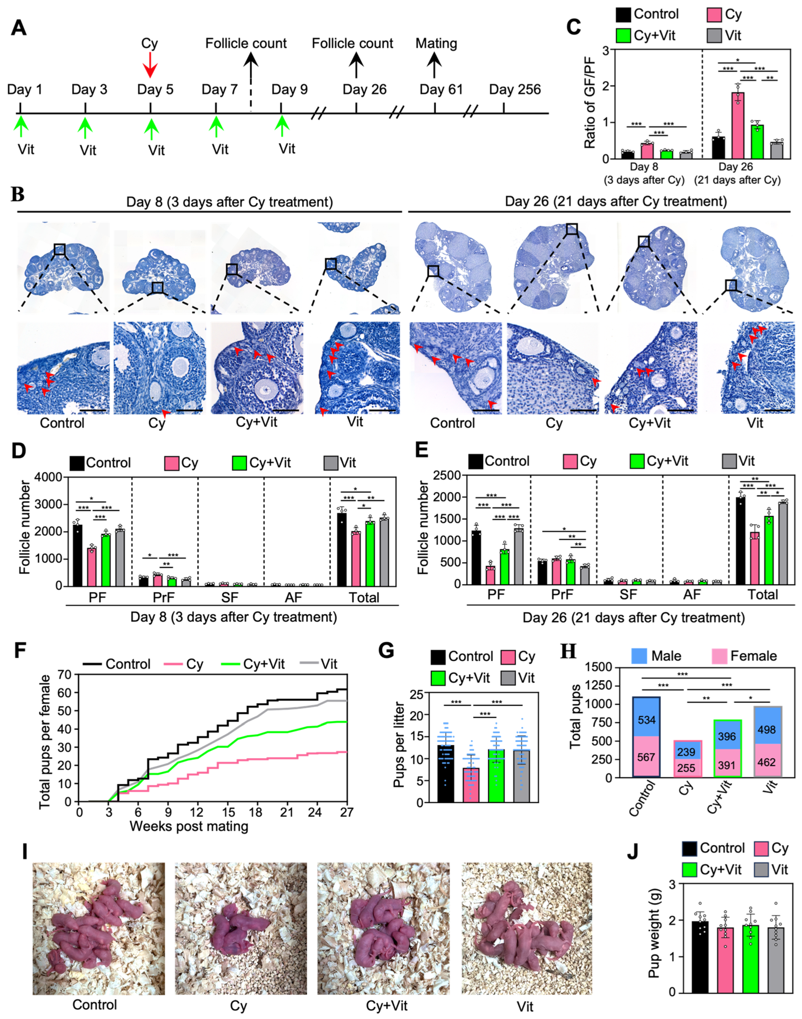 Antioxidants 15 00068 g007