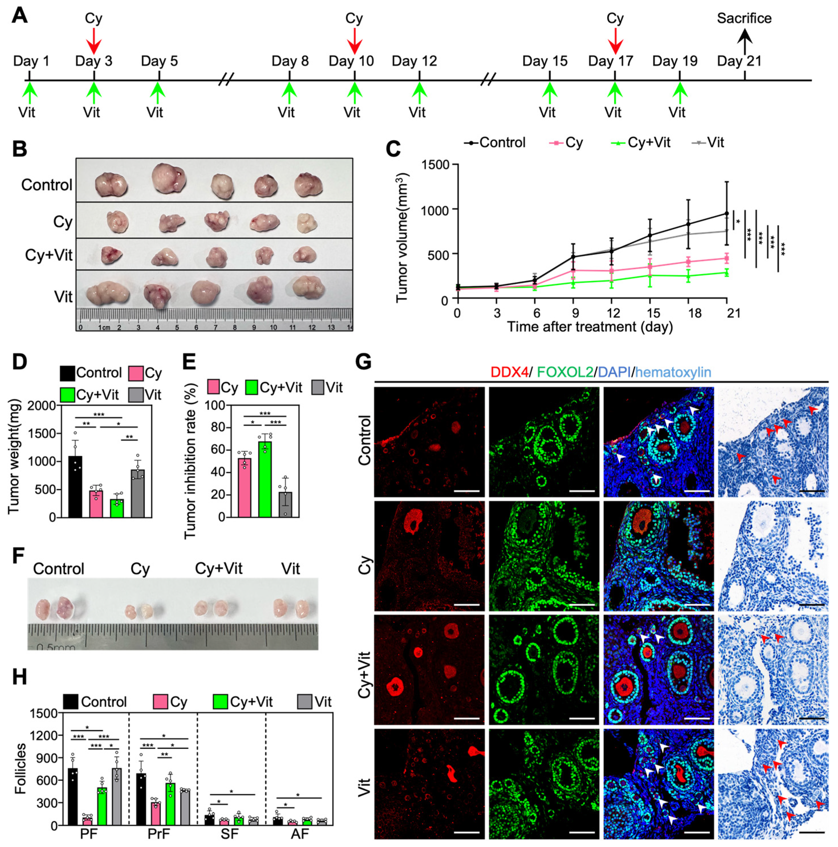 Antioxidants 15 00068 g008