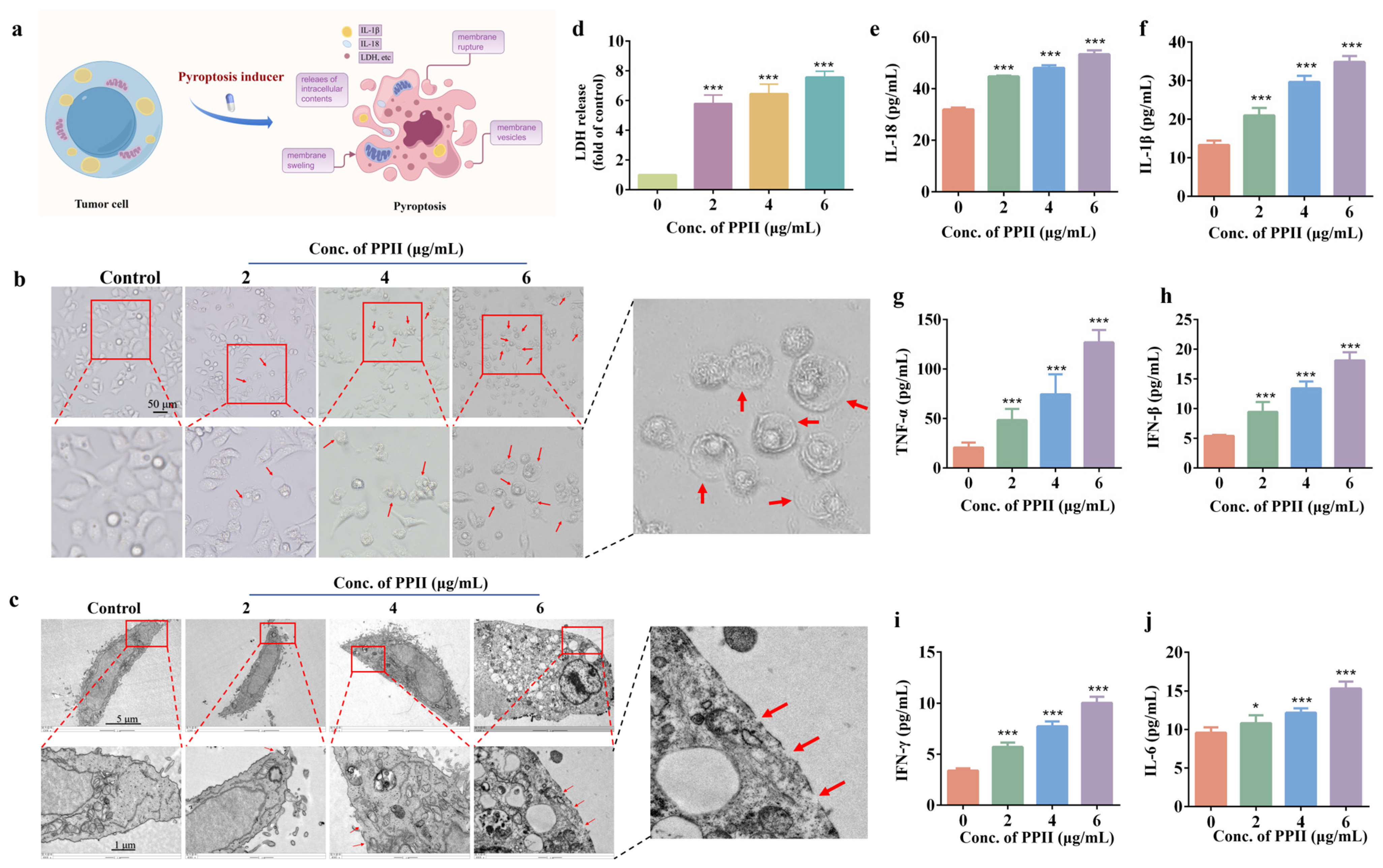 Antioxidants 15 00075 g002 Antioxidants 15 00075 g002