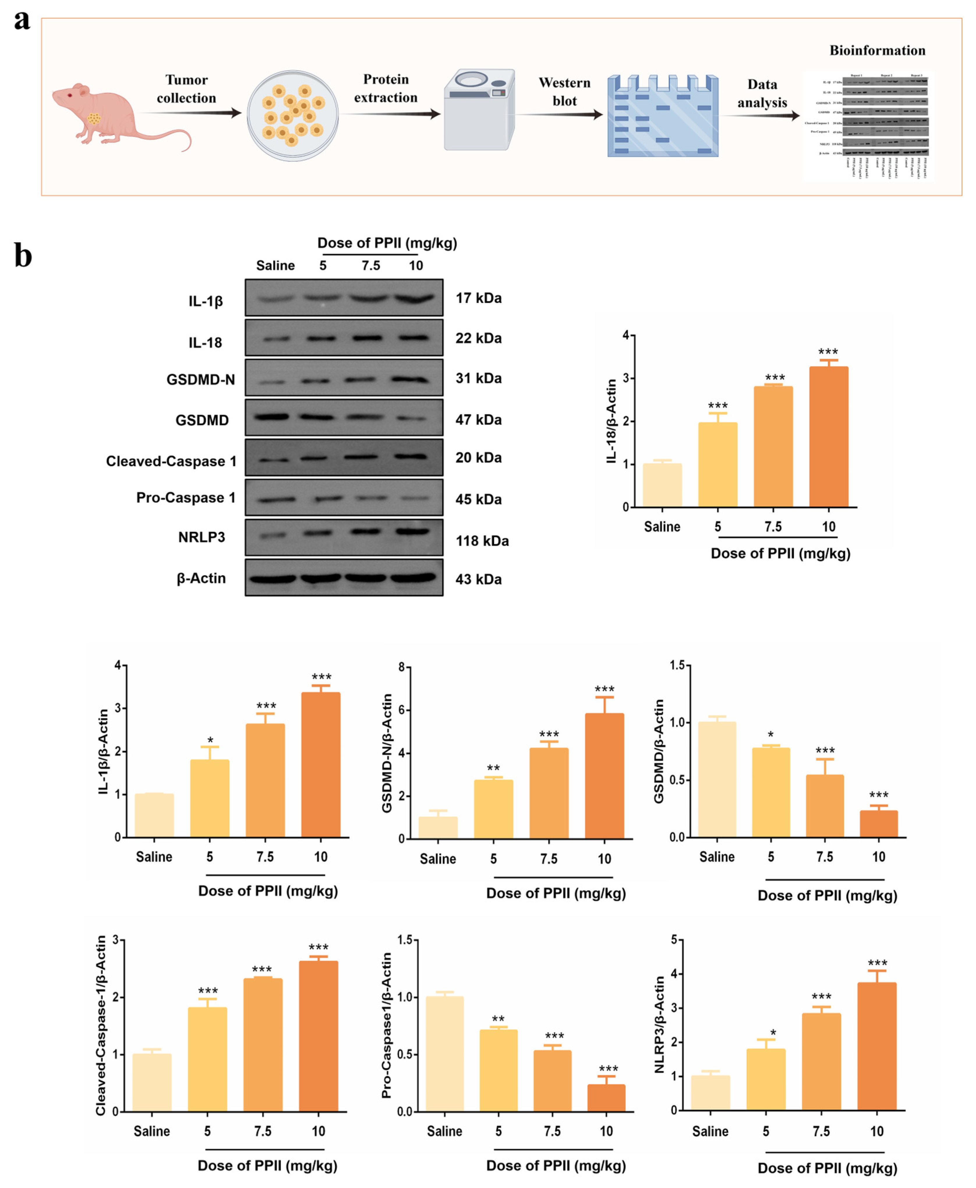 Antioxidants 15 00075 g007 Antioxidants 15 00075 g007