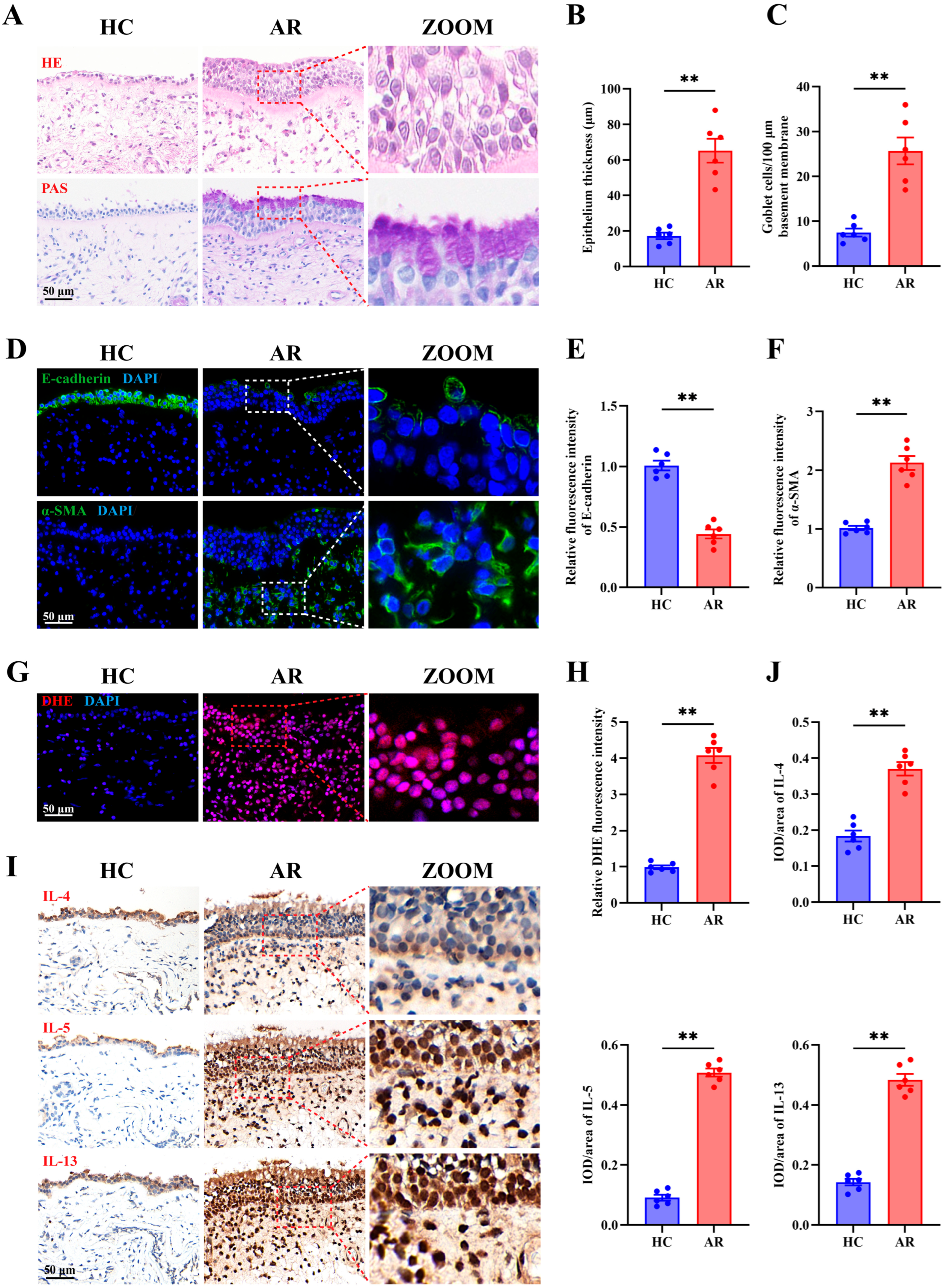 Antioxidants 15 00077 g001 Antioxidants 15 00077 g001