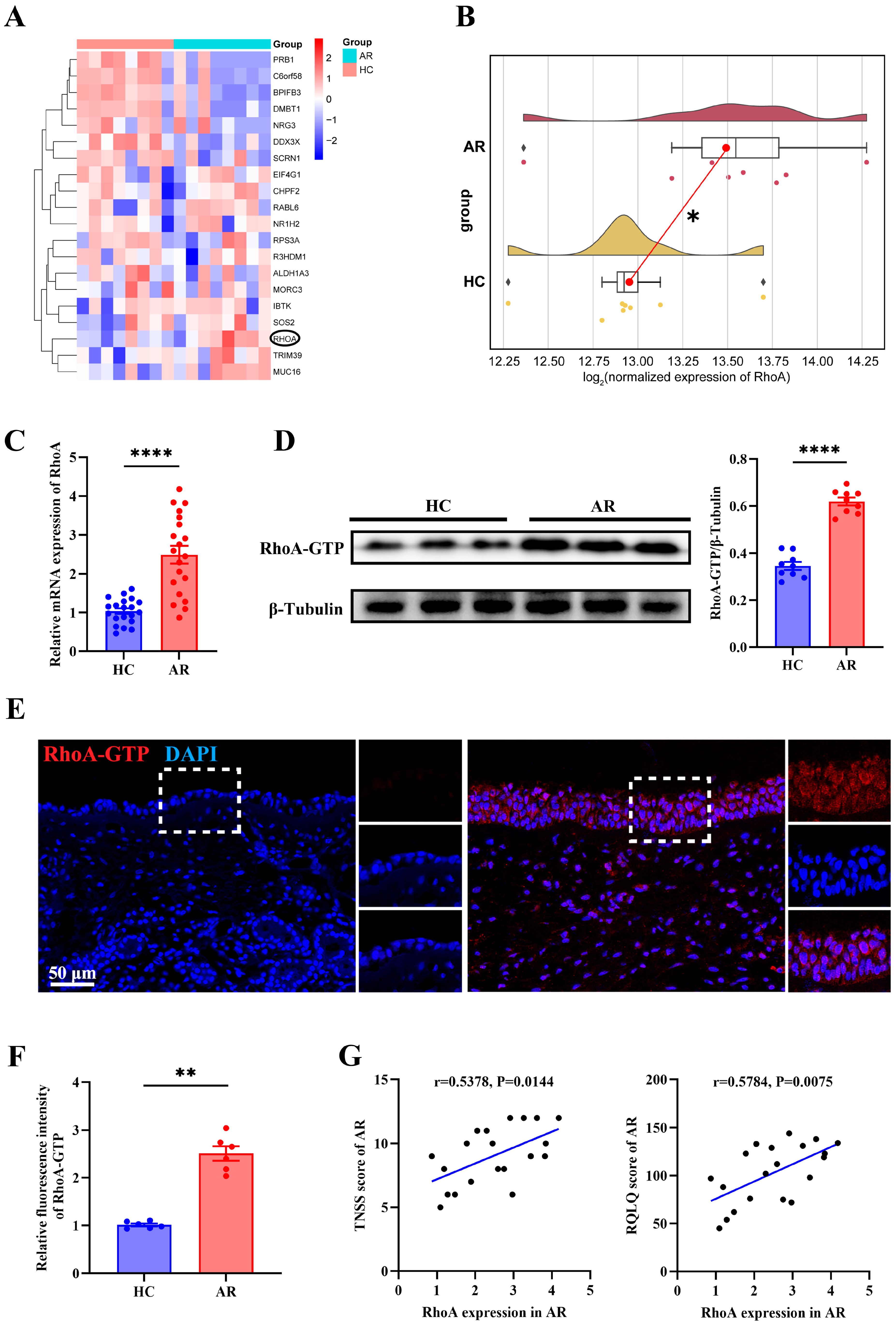 Antioxidants 15 00077 g002 Antioxidants 15 00077 g002