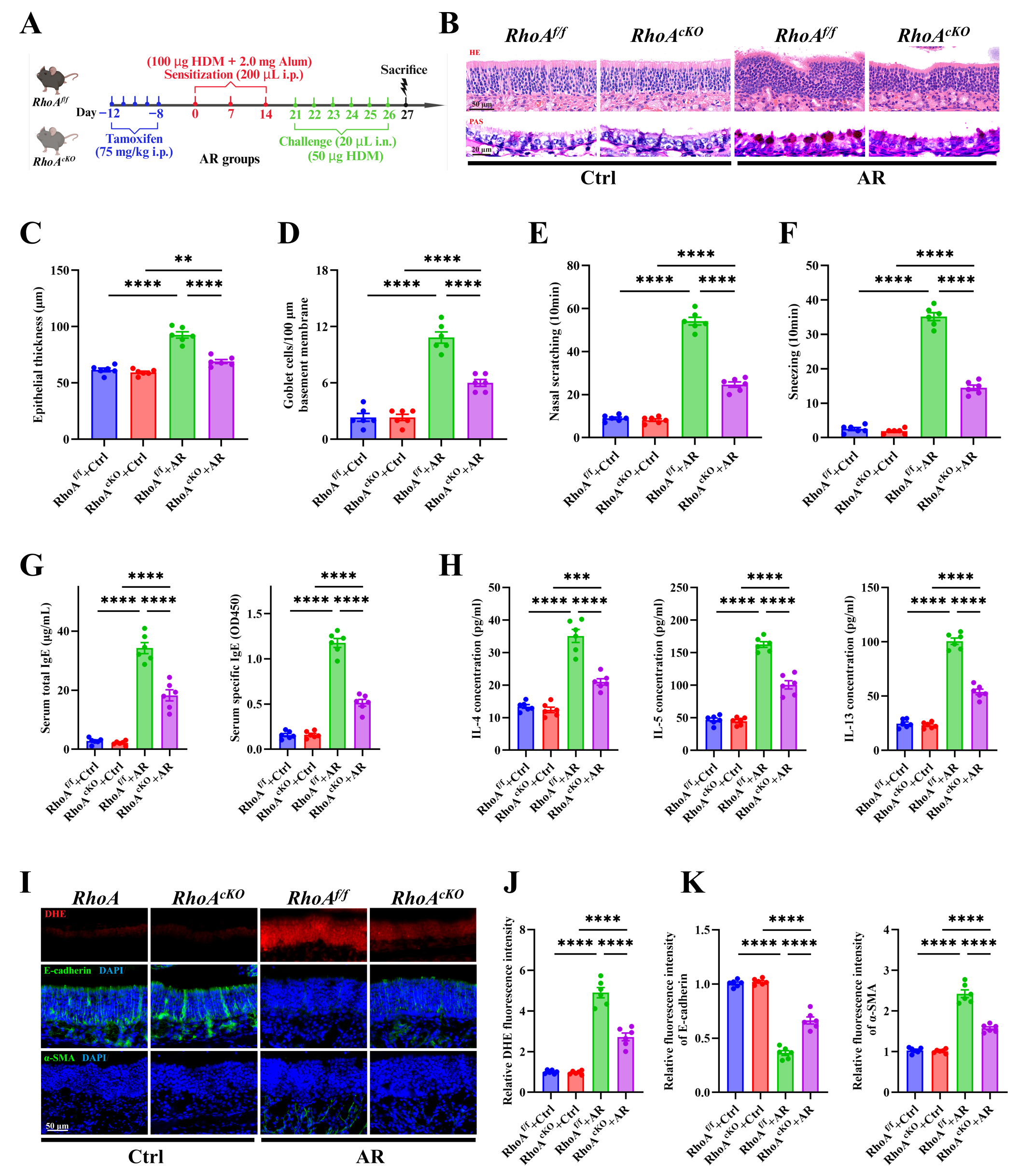 Antioxidants 15 00077 g003 Antioxidants 15 00077 g003