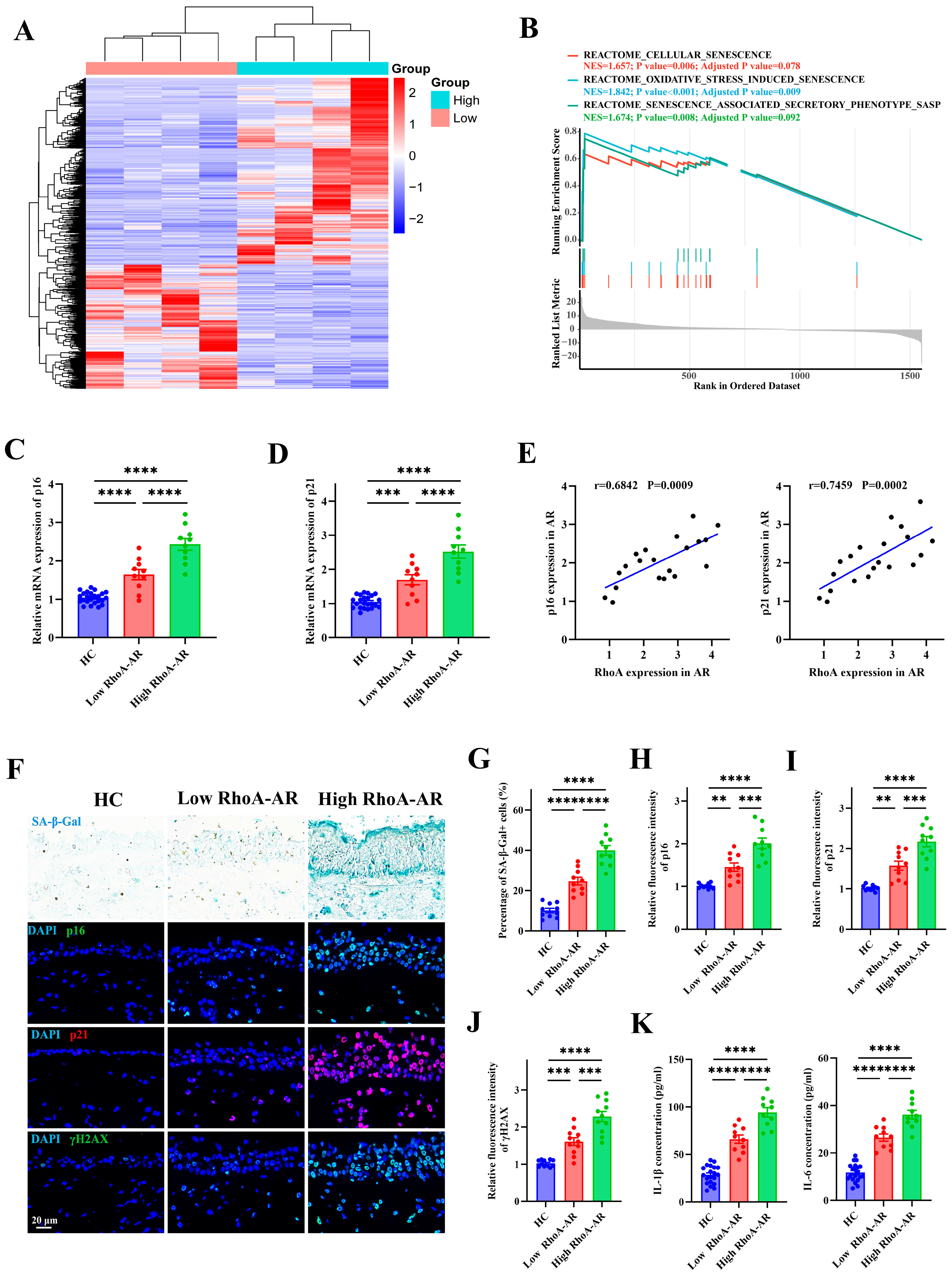 Antioxidants 15 00077 g004 Antioxidants 15 00077 g004