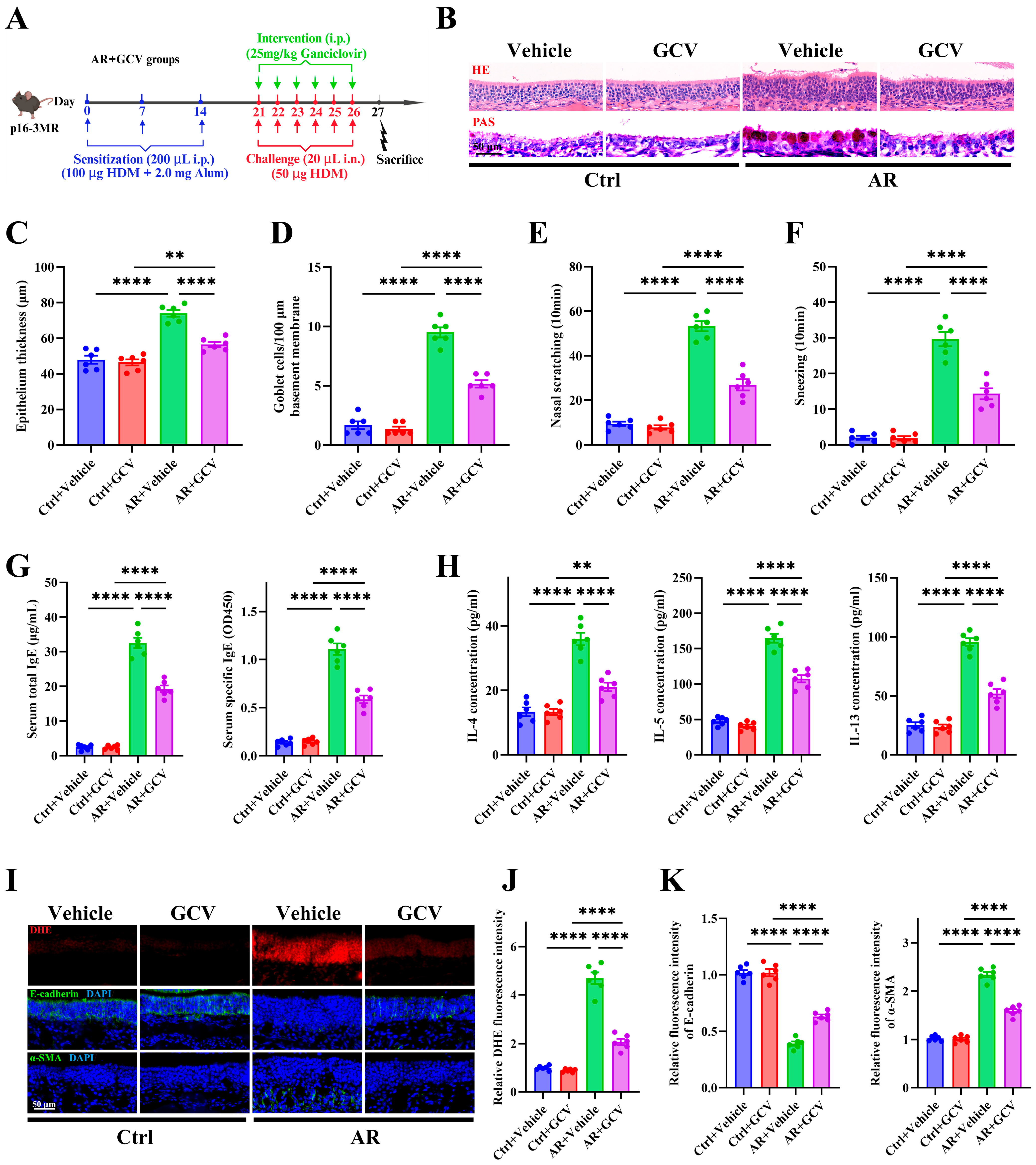 Antioxidants 15 00077 g006 Antioxidants 15 00077 g006