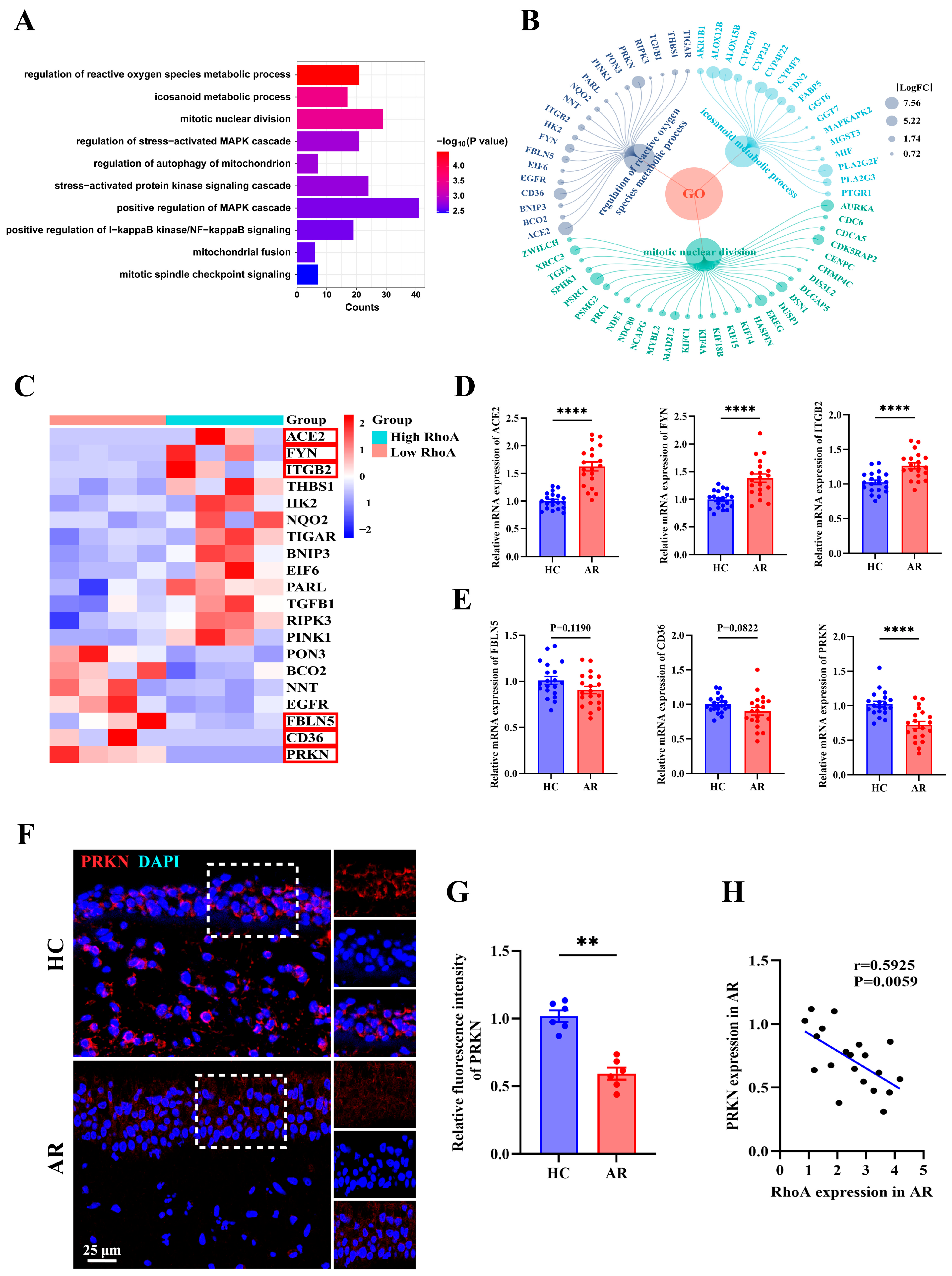 Antioxidants 15 00077 g007 Antioxidants 15 00077 g007