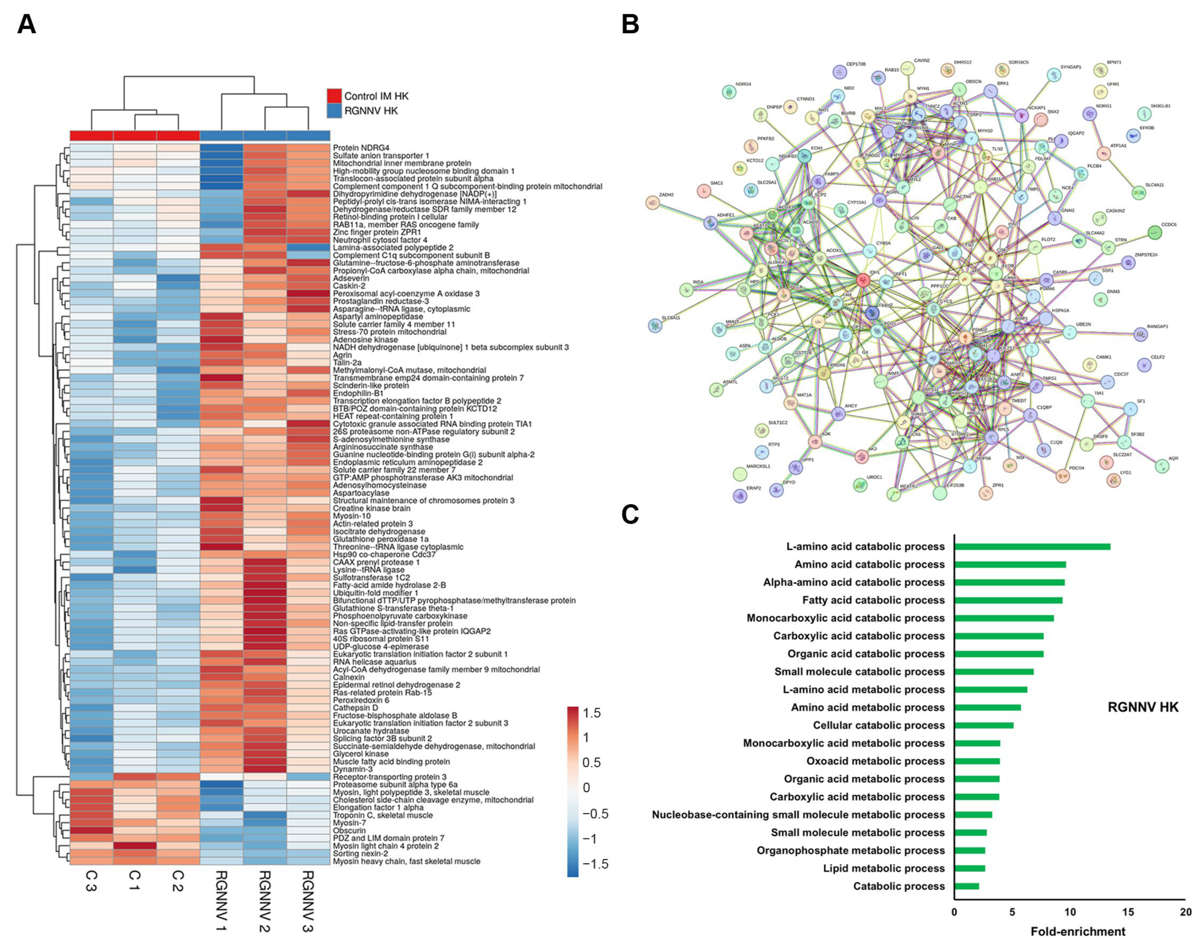 Antioxidants 15 00096 g004 Antioxidants 15 00096 g004