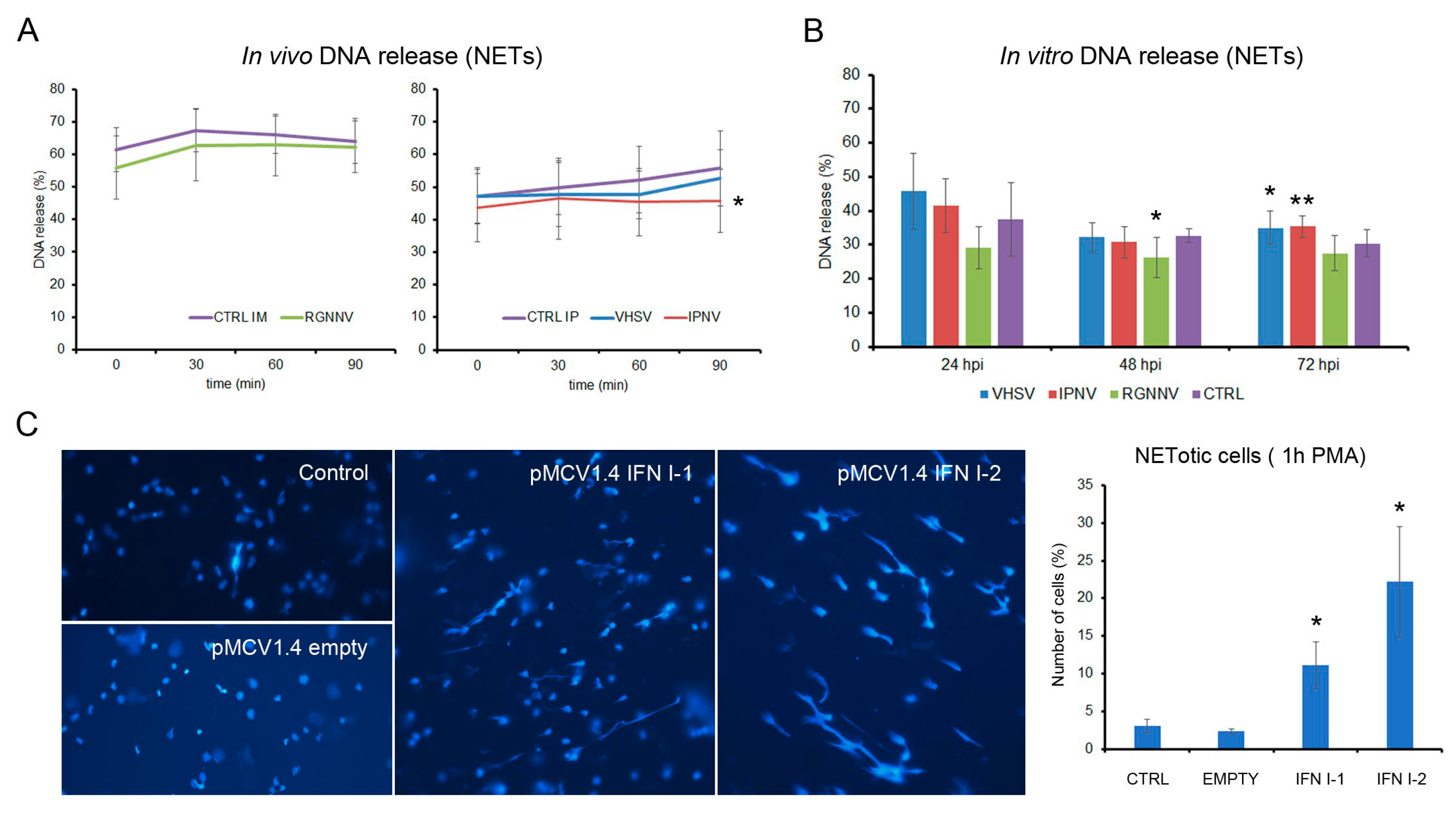 Antioxidants 15 00096 g009 Antioxidants 15 00096 g009