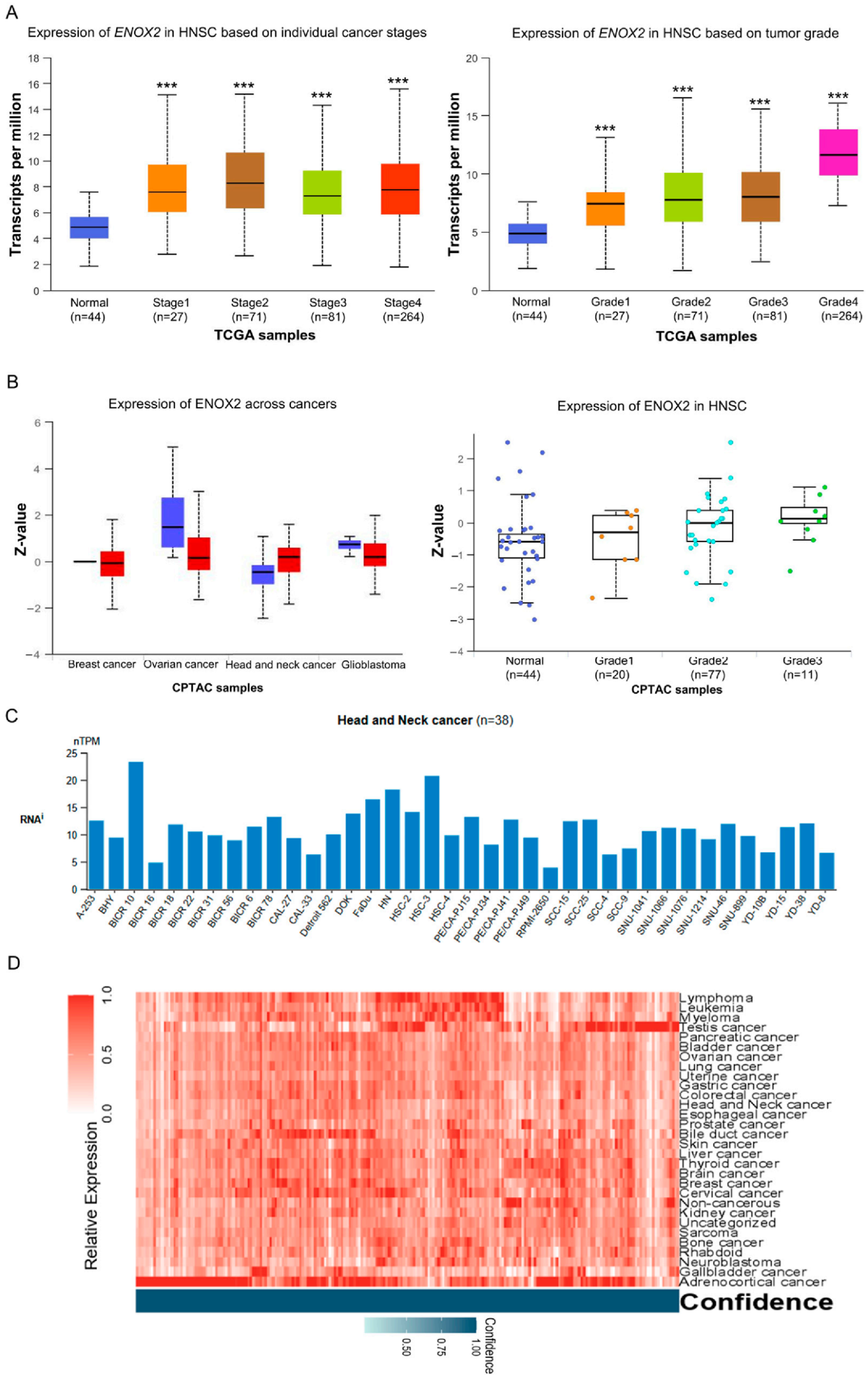 Antioxidants 15 00098 g002 Antioxidants 15 00098 g002