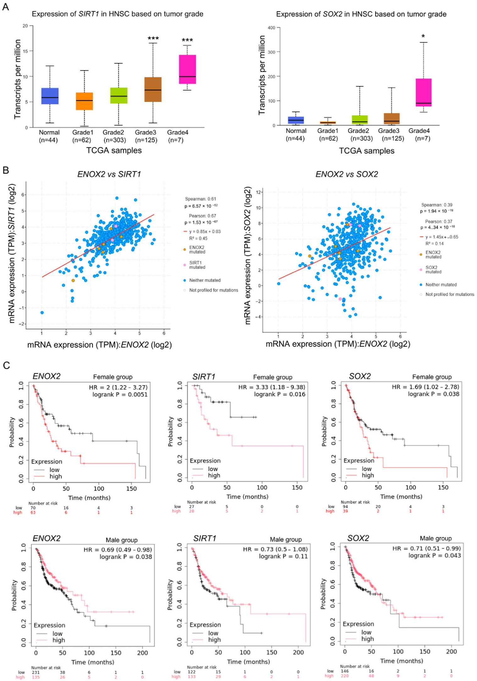 Antioxidants 15 00098 g003 Antioxidants 15 00098 g003