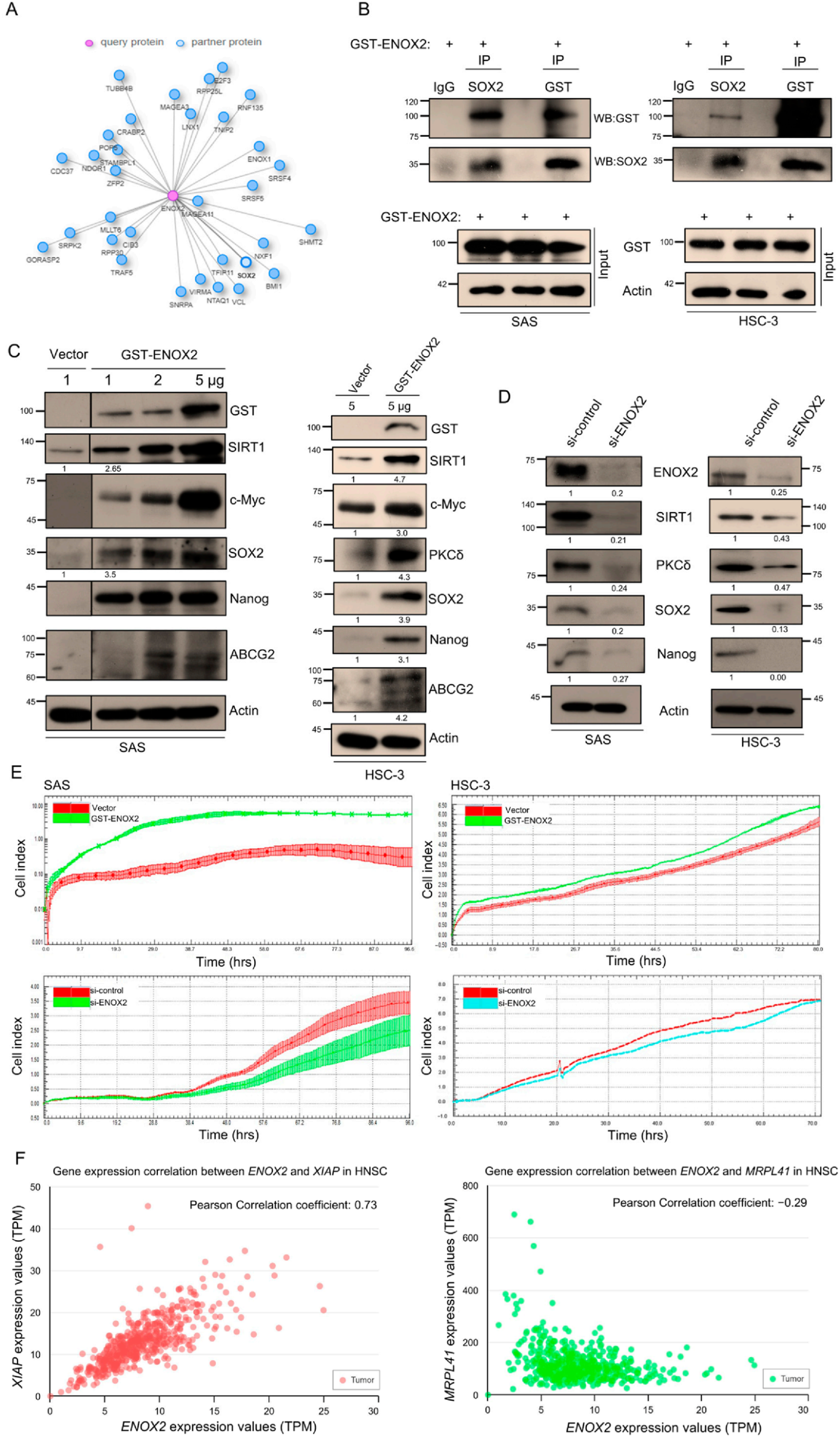 Antioxidants 15 00098 g004 Antioxidants 15 00098 g004
