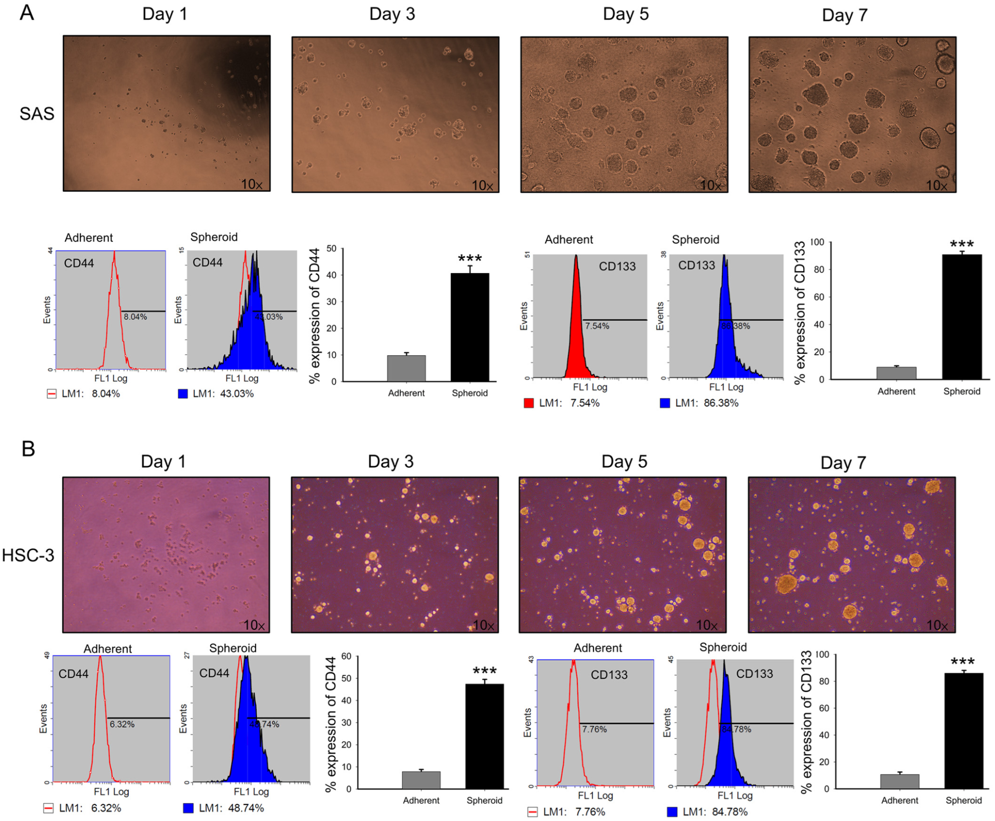 Antioxidants 15 00098 g006 Antioxidants 15 00098 g006