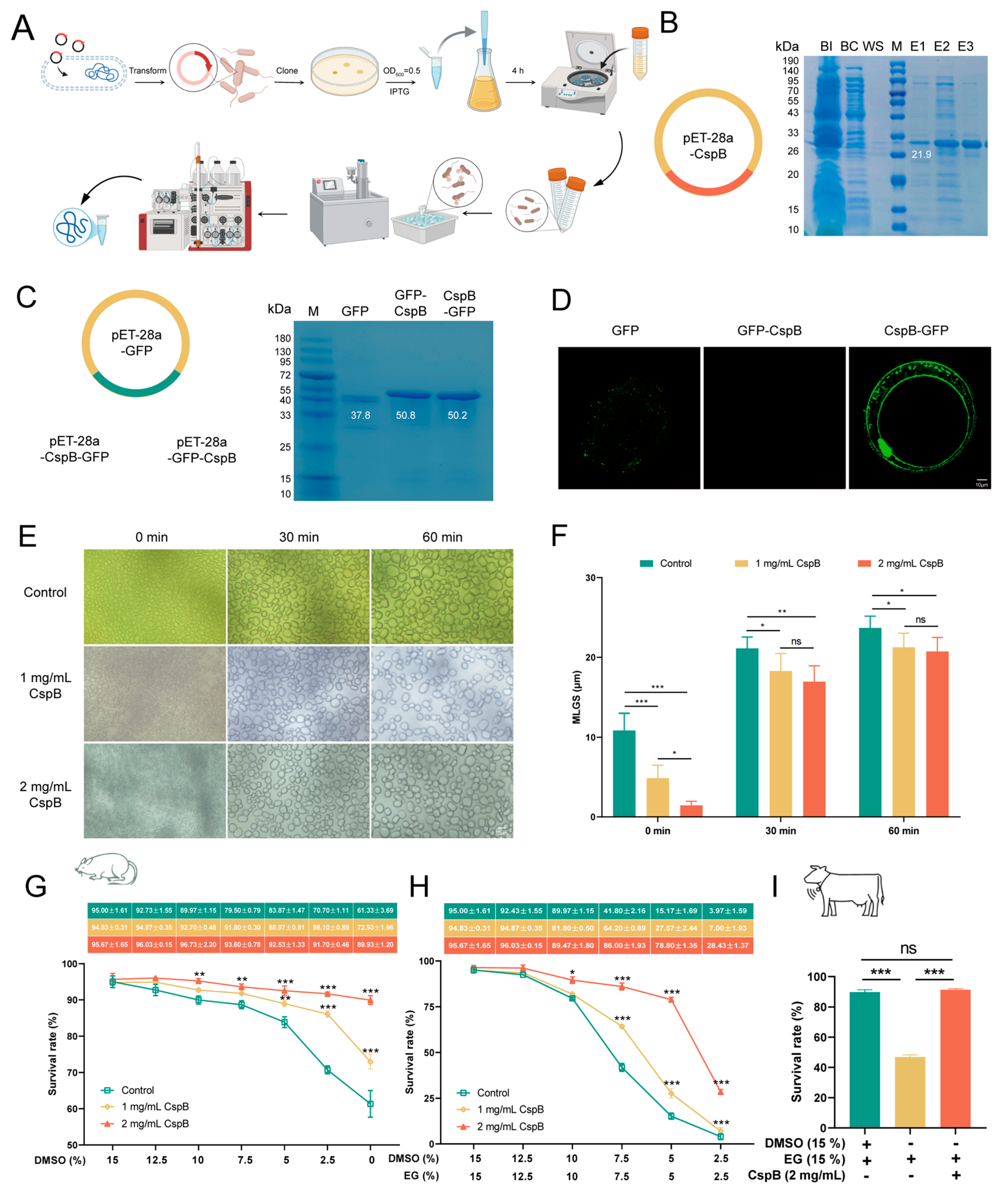 Antioxidants 15 00107 g002